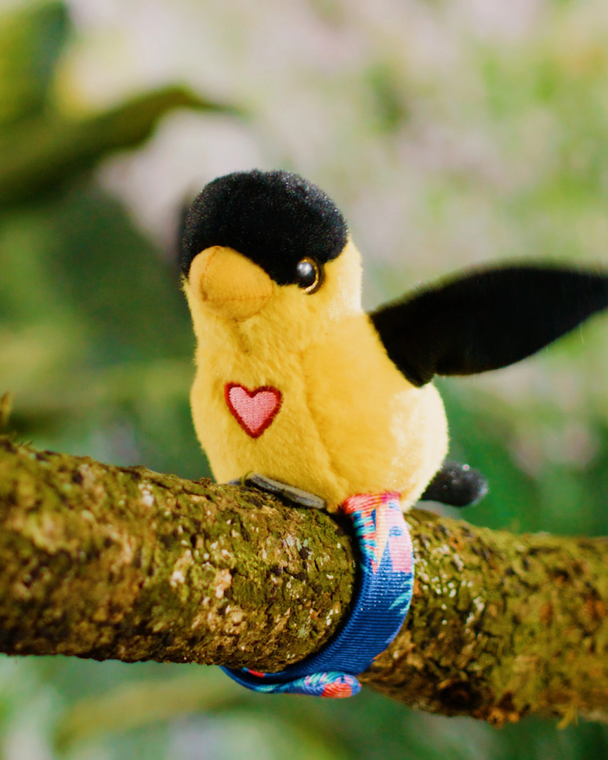 5 Global Shop Direct Happy Yappers Red Parrot and Oriole Adorable Bird Duos That Sing Flap Their Wings and Talk, 5 of 7