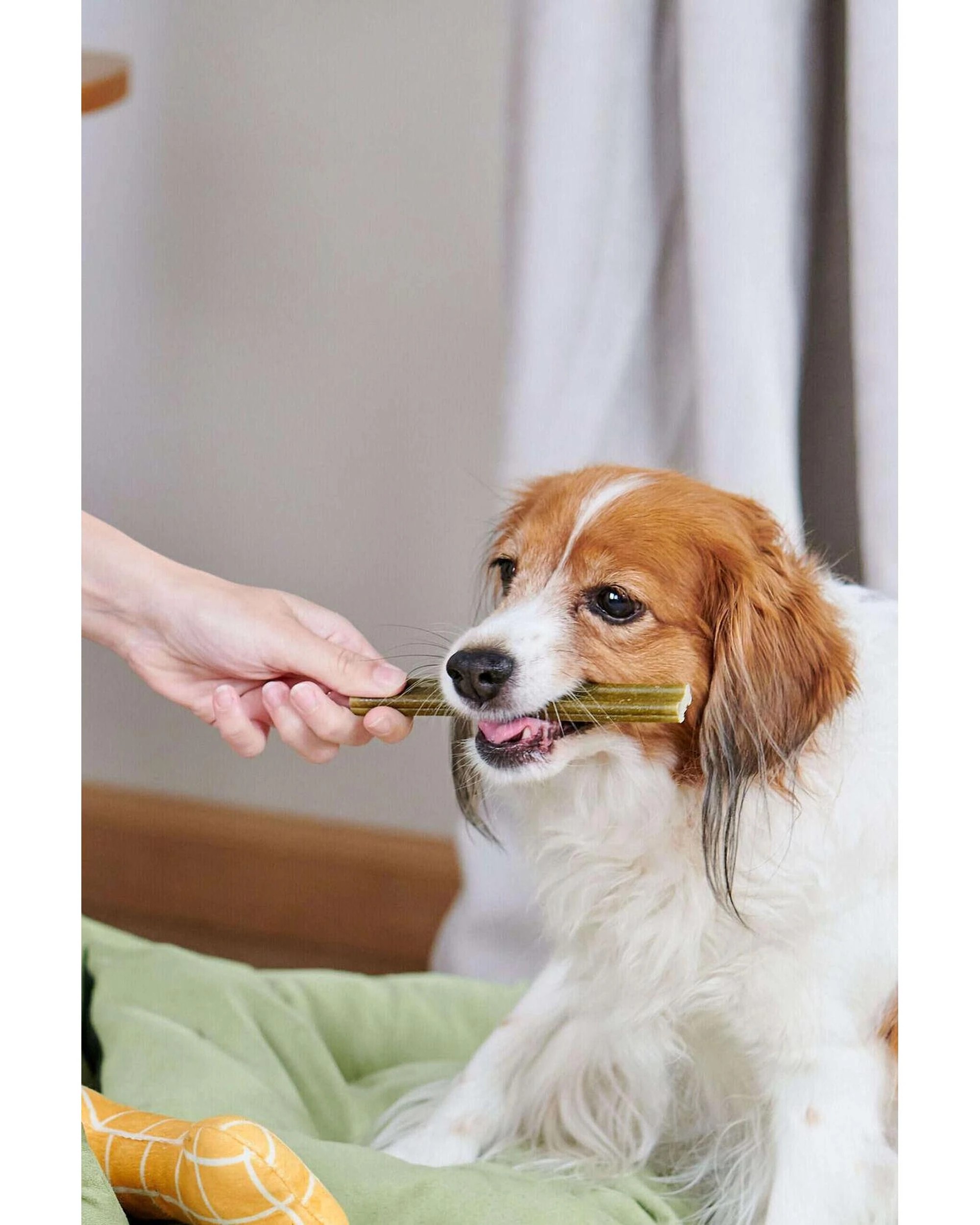 6 Whimzees Daily Dental Treats Soft for Small Dogs 7-12kg 28 Pack, 6 of 7