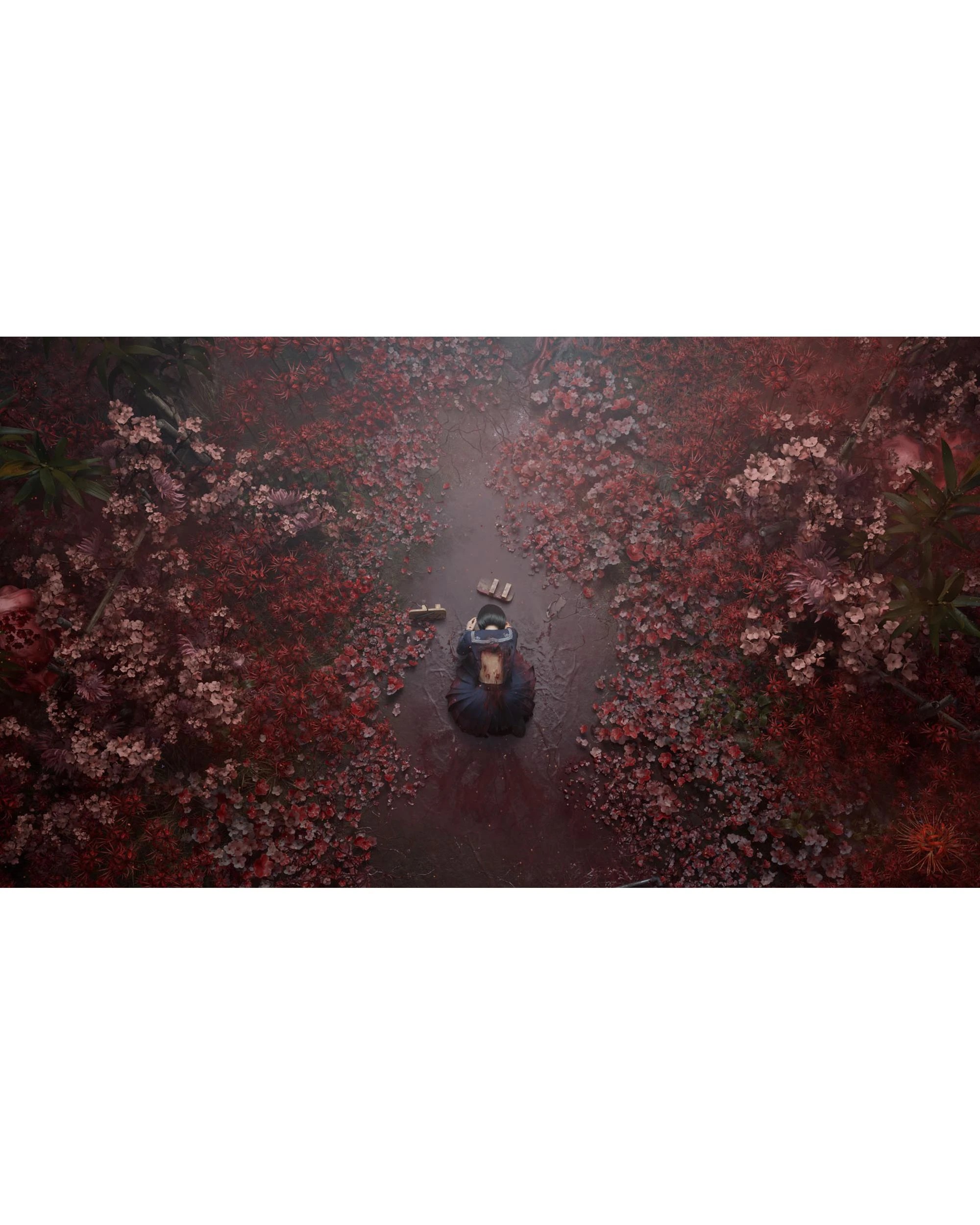 10 Silent Hill f Day One Edition - Xbox Series X, 10 of 10