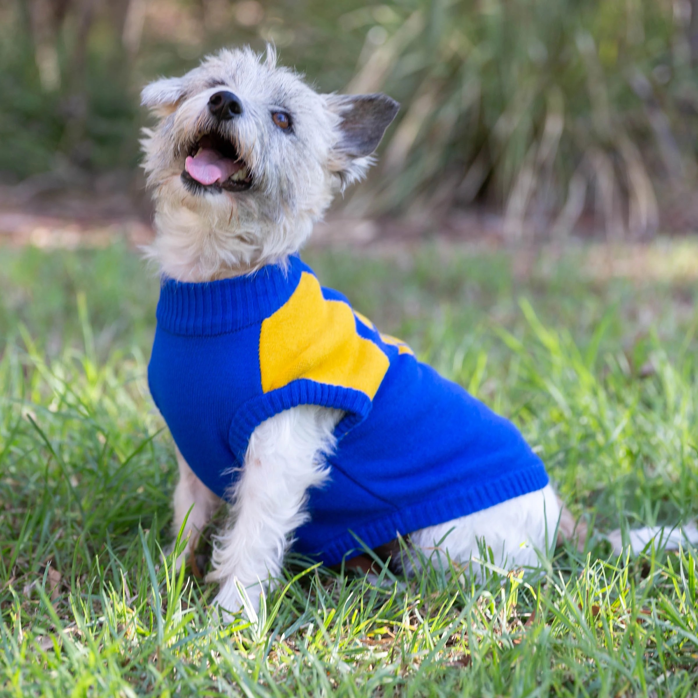 4 AFL West Coast Eagles Pet Jumper - Medium, 4 of 4