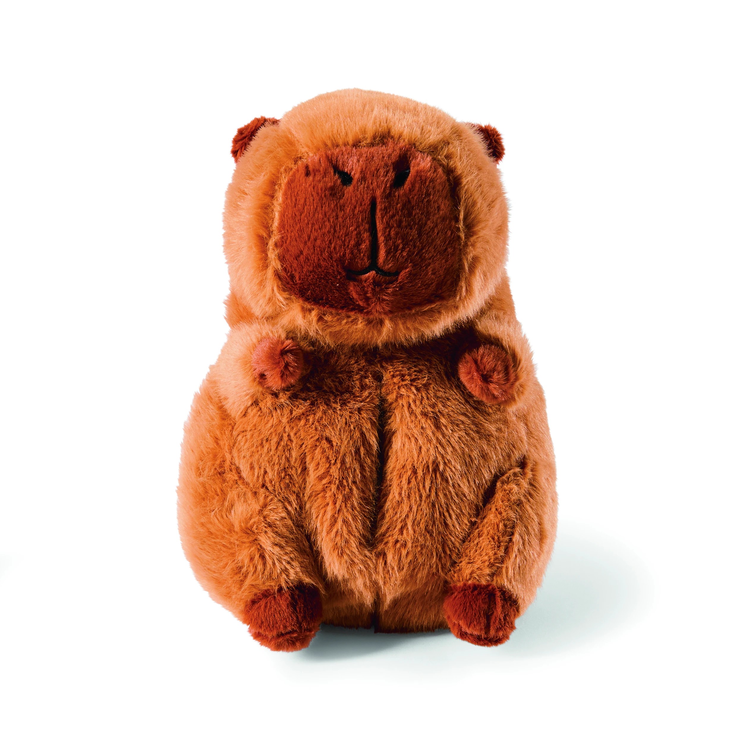 3 Car Tissue Holder - Capybara, 3 of 10