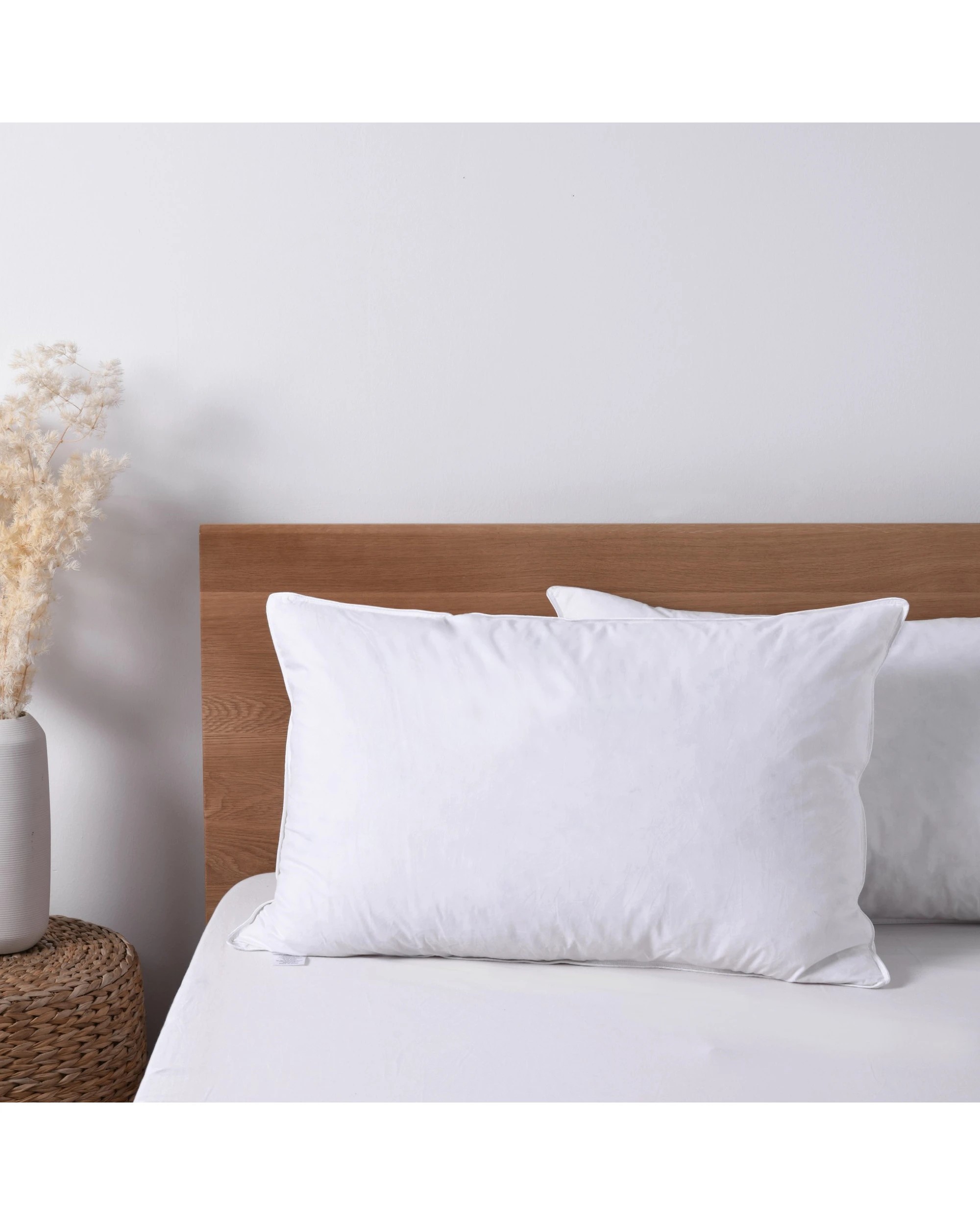 1 Dreamaker Goose Feather and Down Standard Pillow - White, 1 of 5