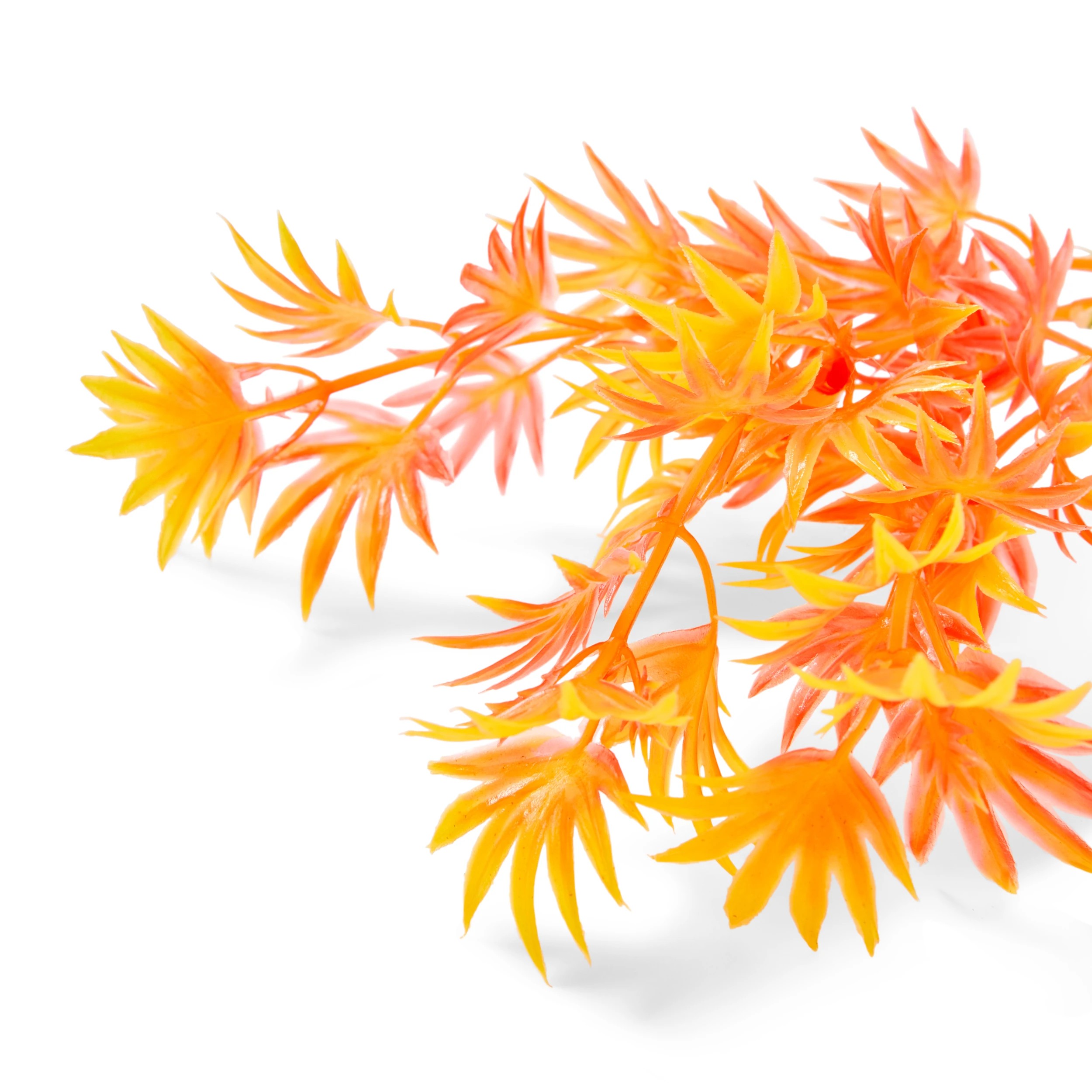 4 6 Pack Aquarium Bright Plants - Small, 4 of 10