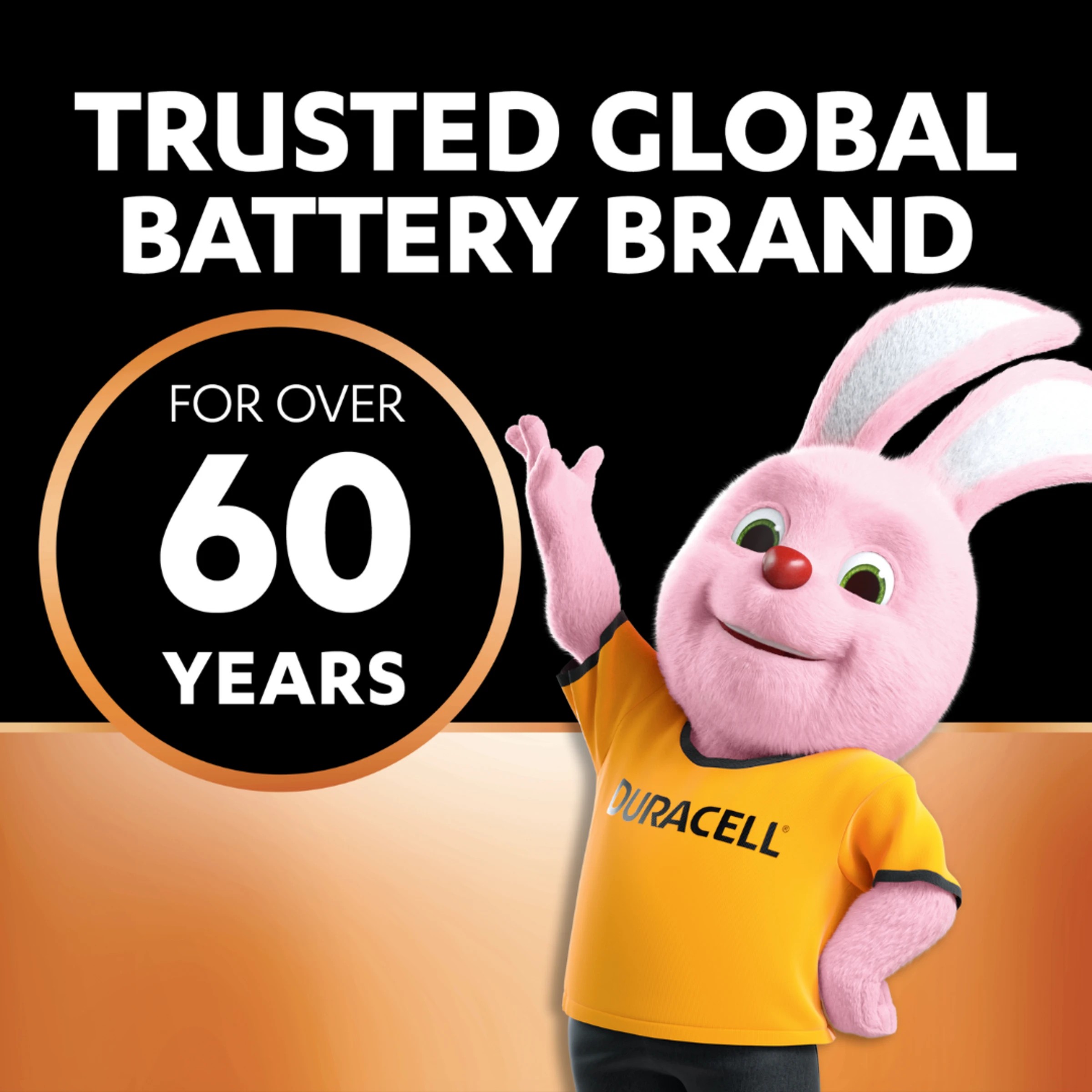 4 16 Pack Duracell Coppertop AA 1.5V Alkaline Batteries - Multi, 4 of 10