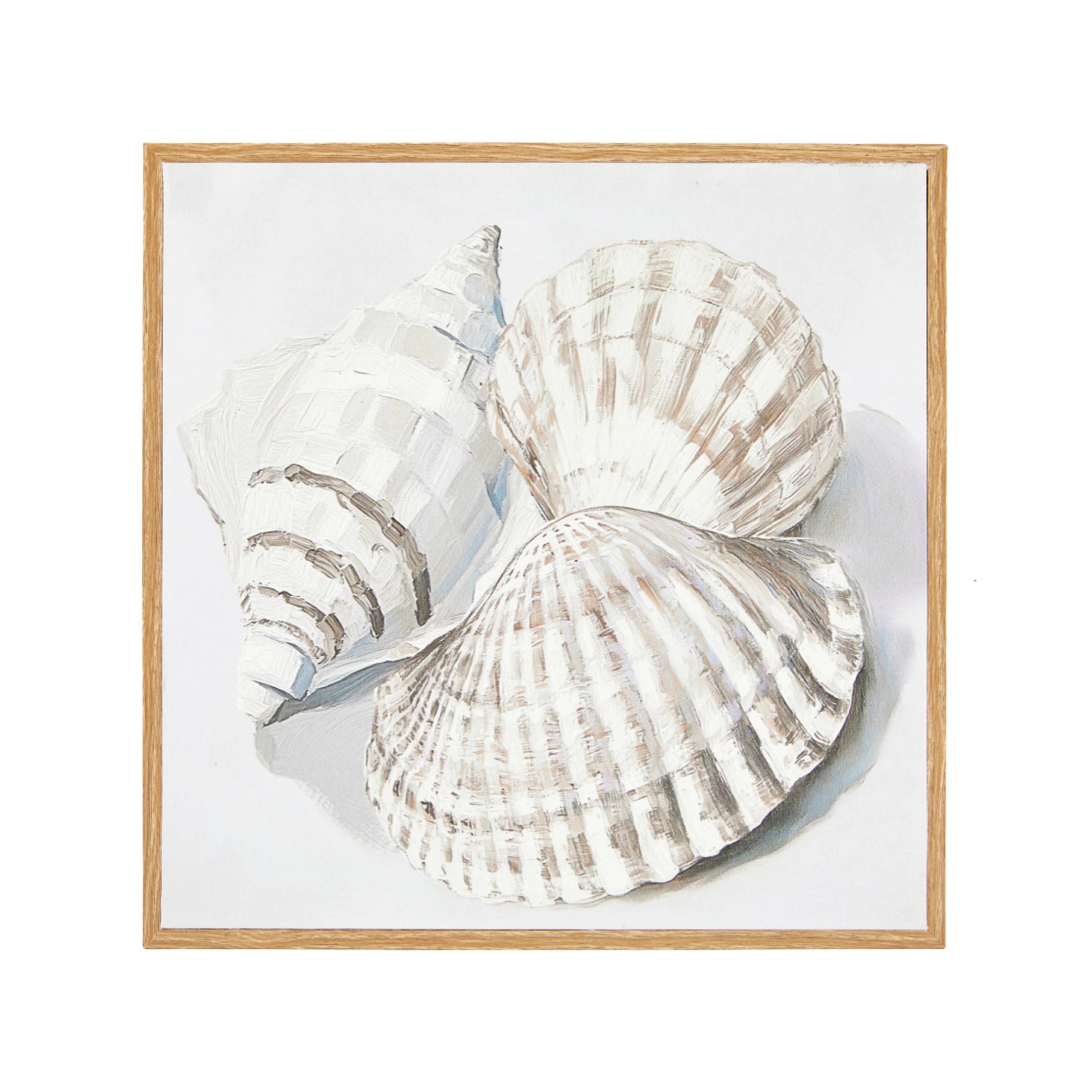 1 Shells Framed Canvas, 1 of 5