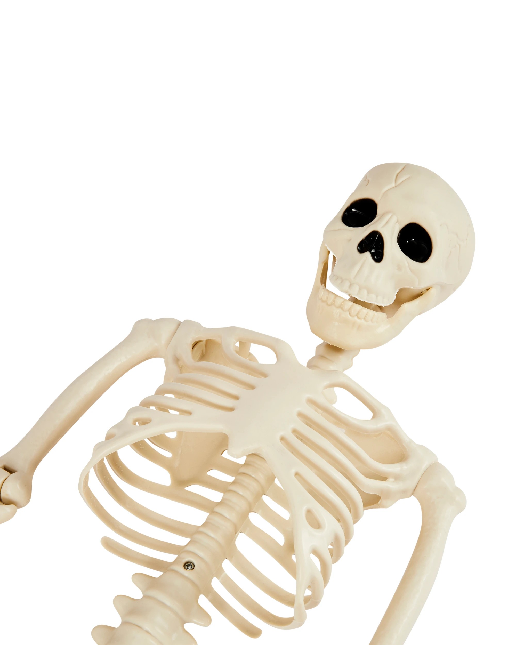 3 90cm Poseable Skeleton - Assorted, 3 of 5