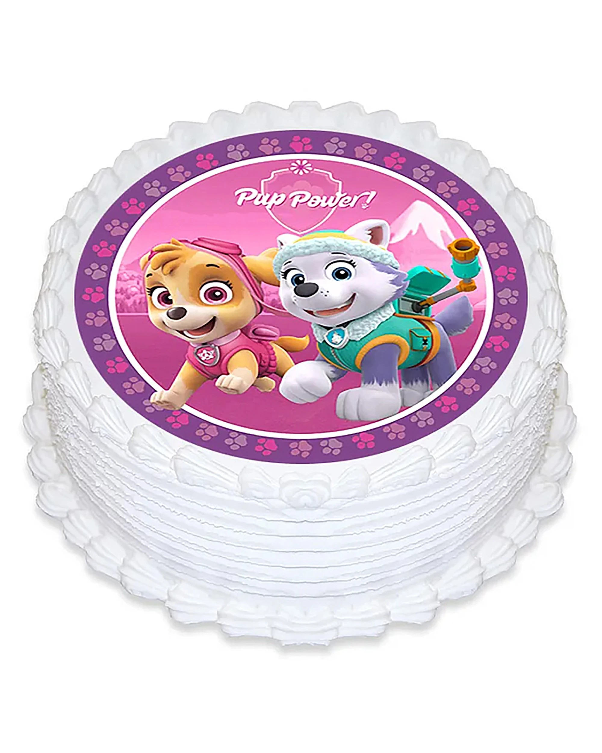 1 PAW Patrol Paw Patrol Pup Power Round Edible Icing Cake Decoration - Multi, 1 of 1