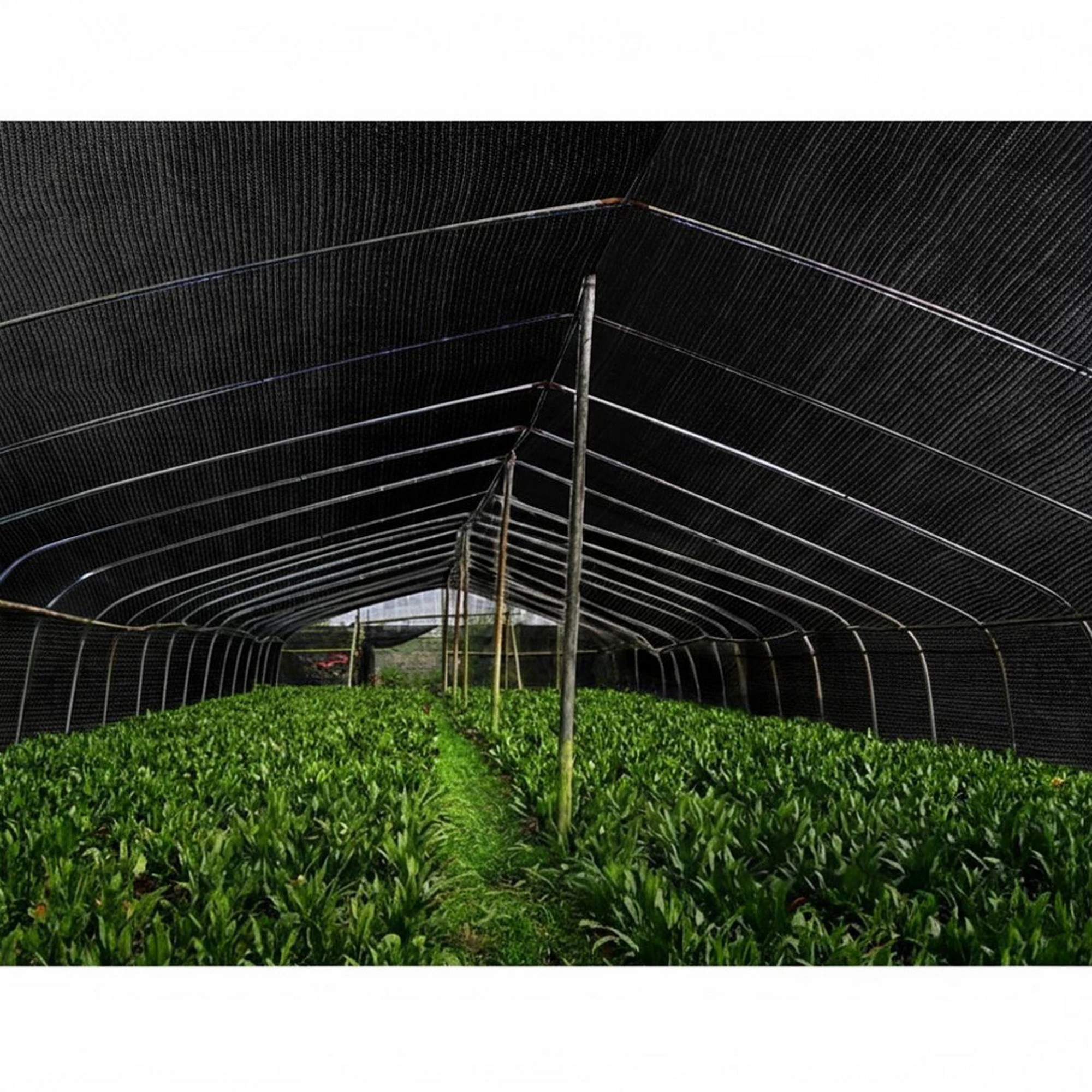 7 Instahut 90% Shade ClothShadecloth Sail Heavy Duty - Black, 7 of 8