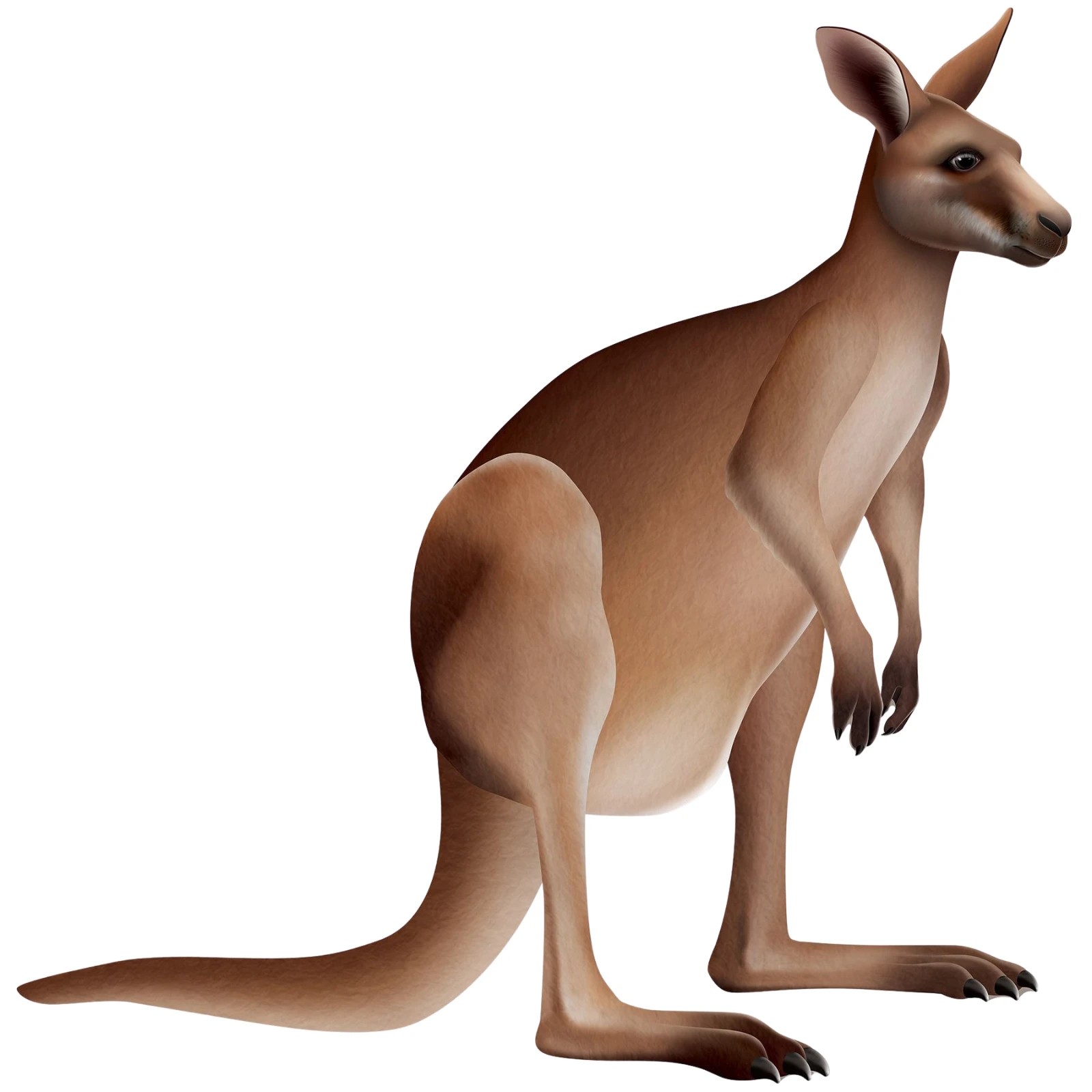 1 Beistle Kangaroo Jointed Cutout Wall Decoration, 1 of 3