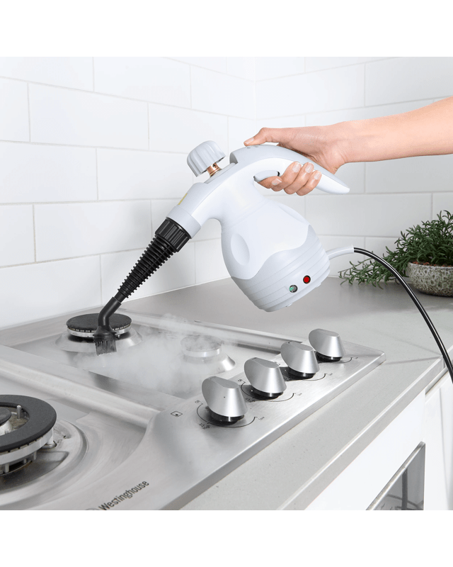 Hand Held Steam Cle
