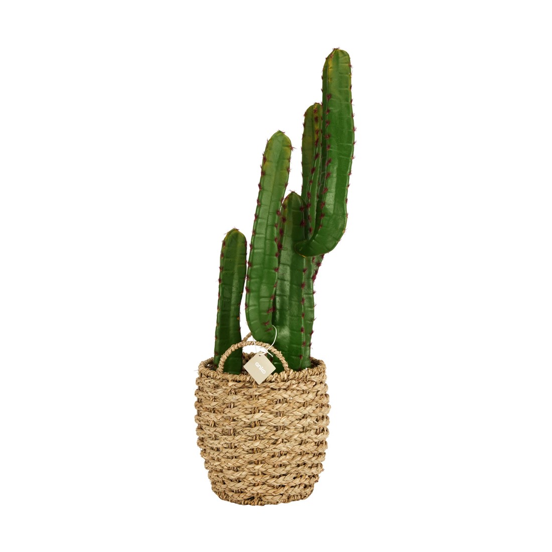 6 Artificial Cactus in Basket, 6 of 6