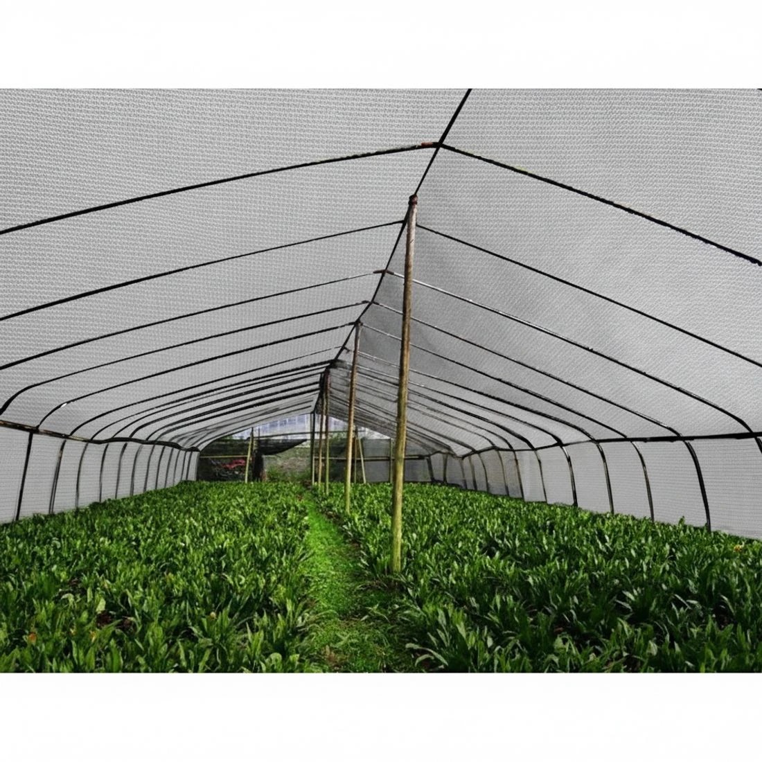 4 Instahut 50% Shade Cloth 3.66x30m Shadecloth Wide Heavy Duty - White, 4 of 5