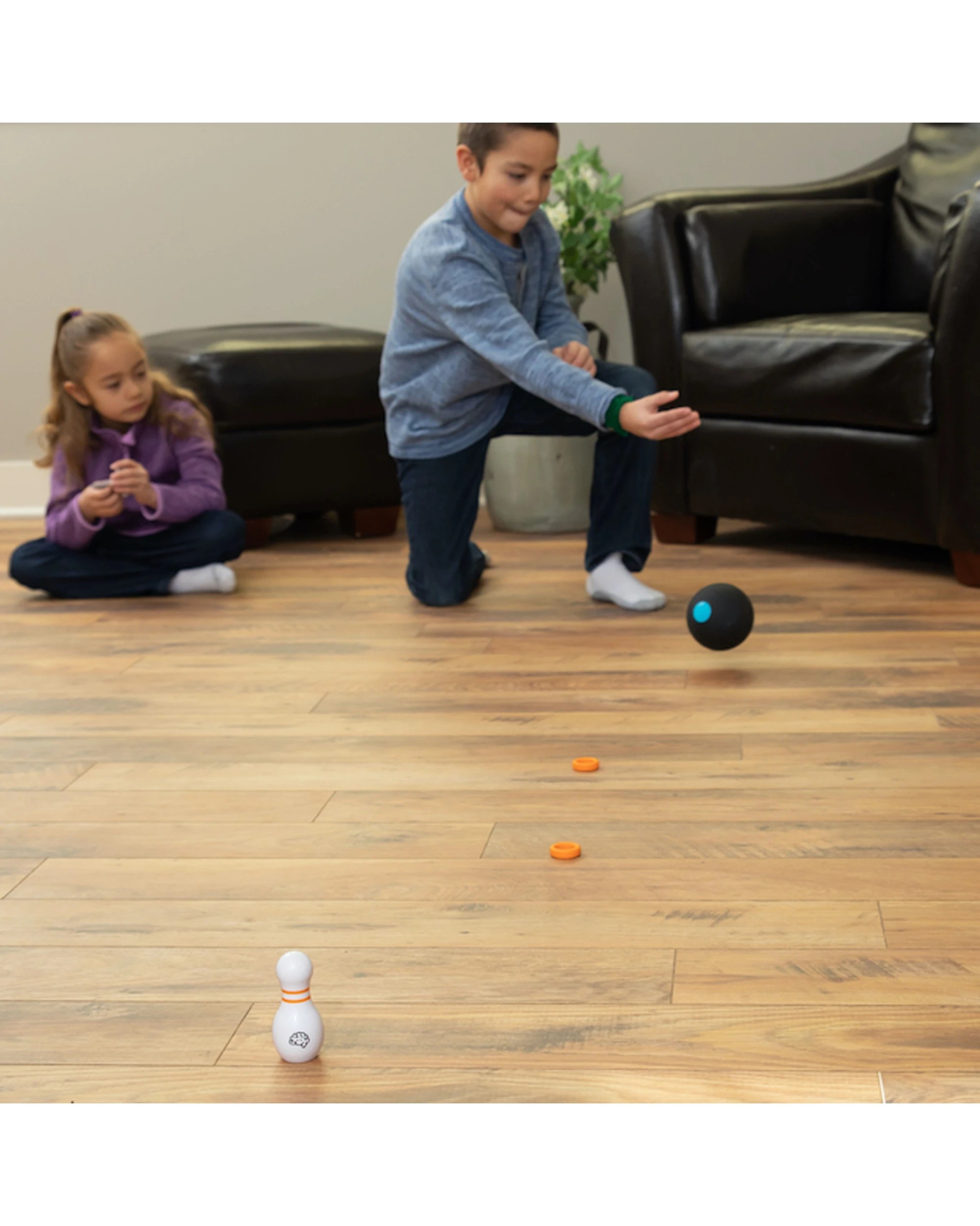 8 Fat Brain Toy Co. Curve Bowl Kids Game Rolling Weighted Ball Obstacles Pin - Multi, 8 of 8