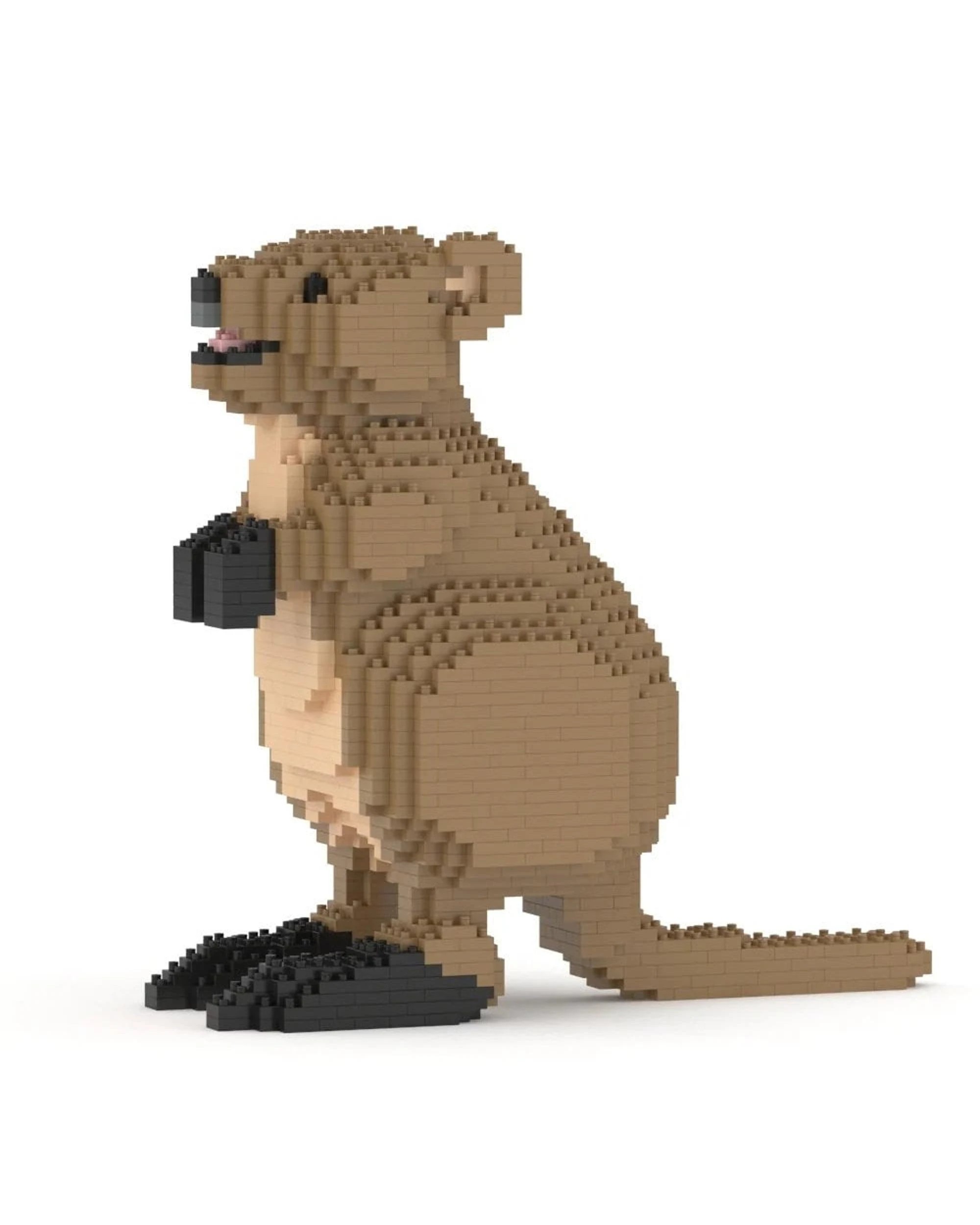 2 JEKCA Quokka 01S, 2 of 3