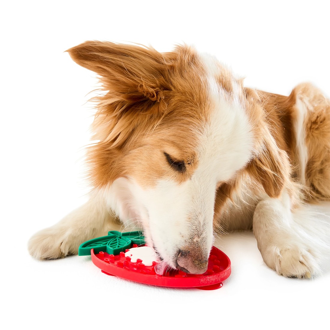 1 Novelty Pet Lick Mat - Assorted, 1 of 10