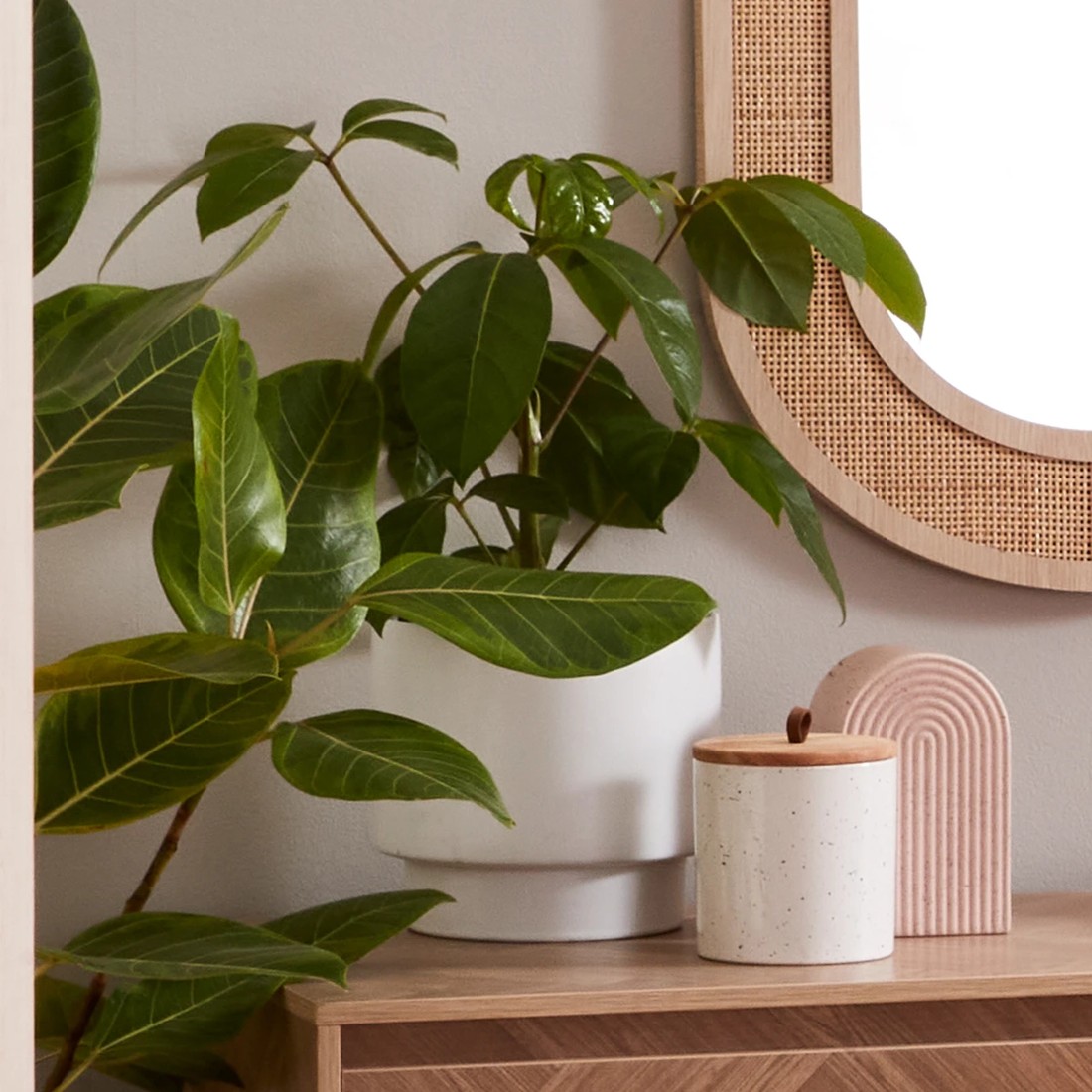 6 Artificial Fiddle Leaf in Pot, 6 of 8