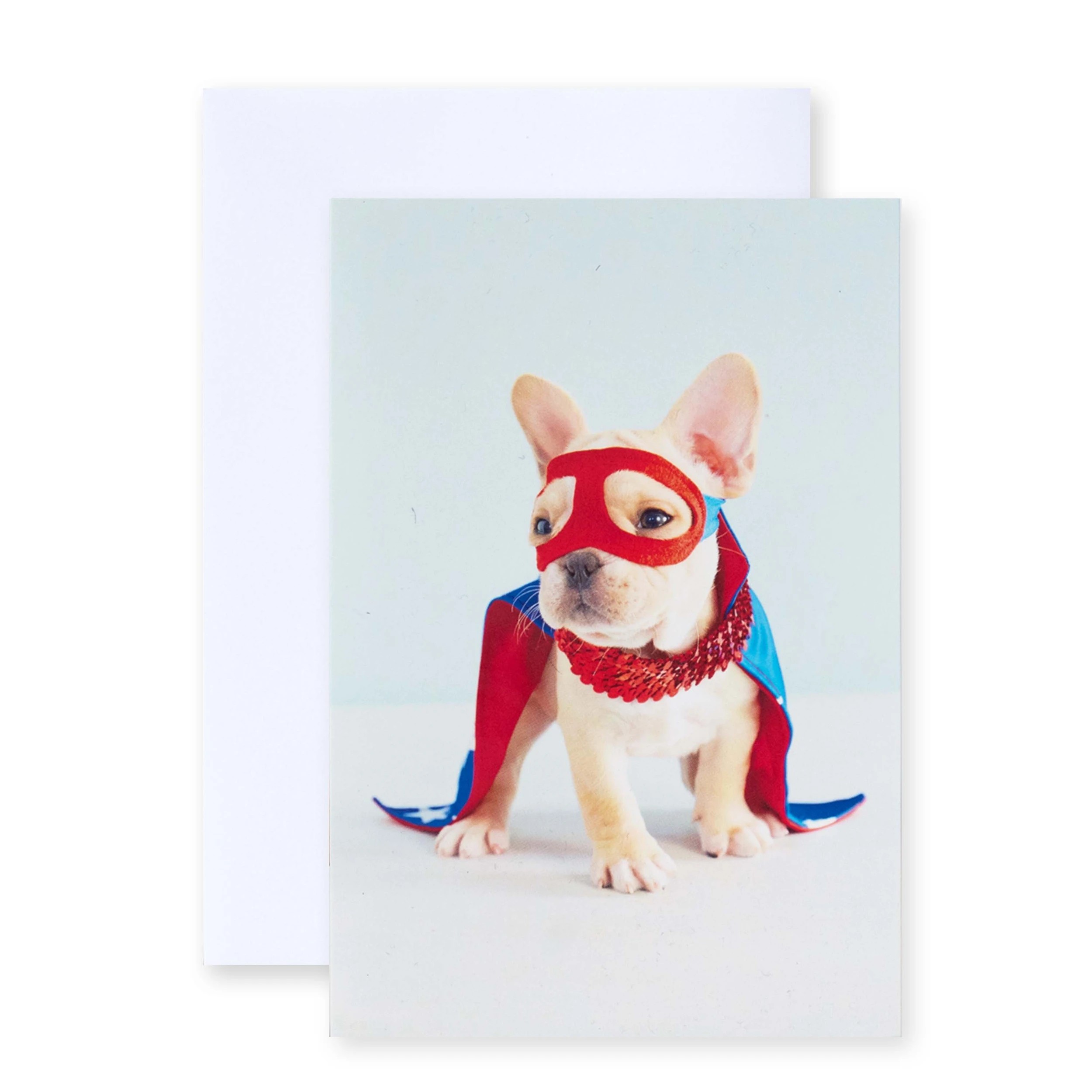4 12 Pack Hallmark Birthday Cards - Super Dog and Happy Birthday, 4 of 4