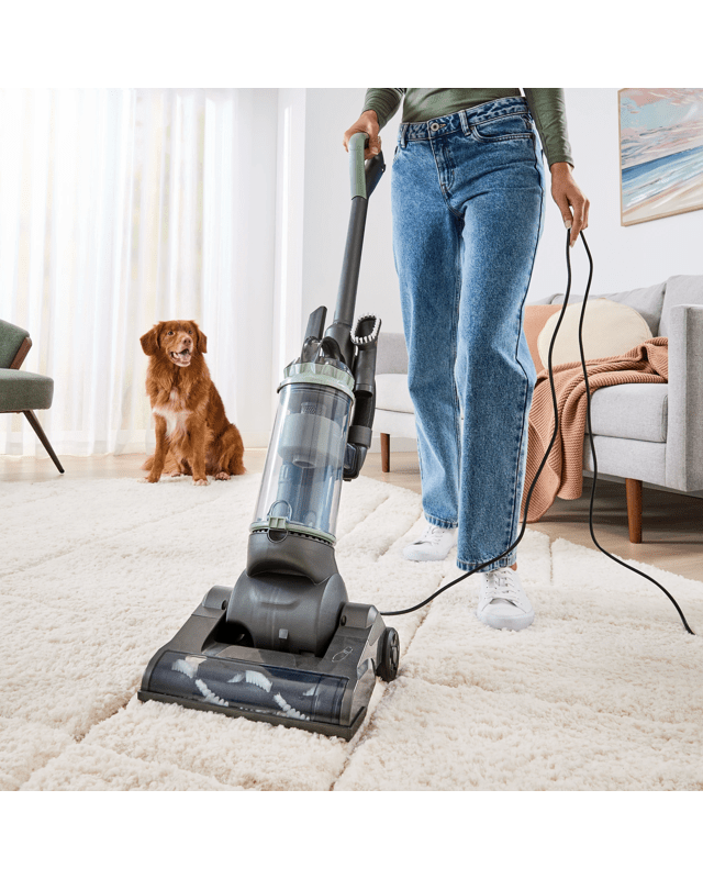 Upright Vacuum Cle