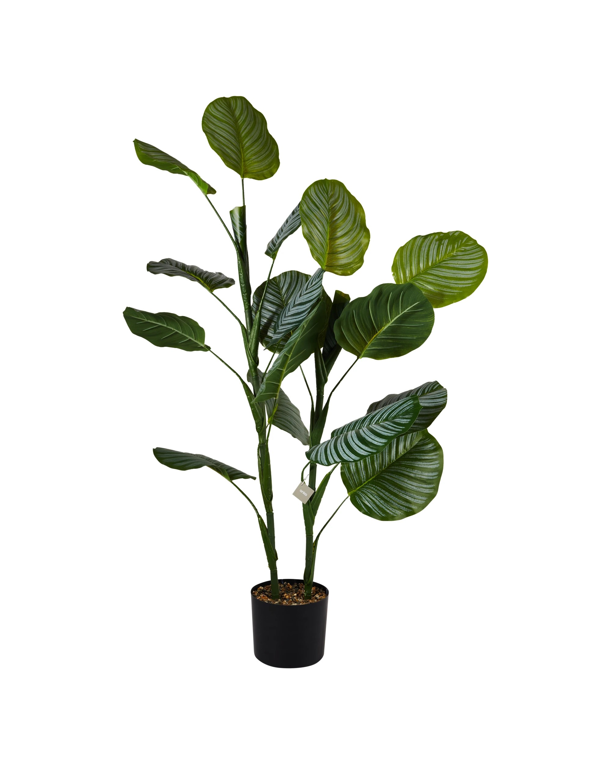 3 Artificial Calathea Plant in Pot, 3 of 3