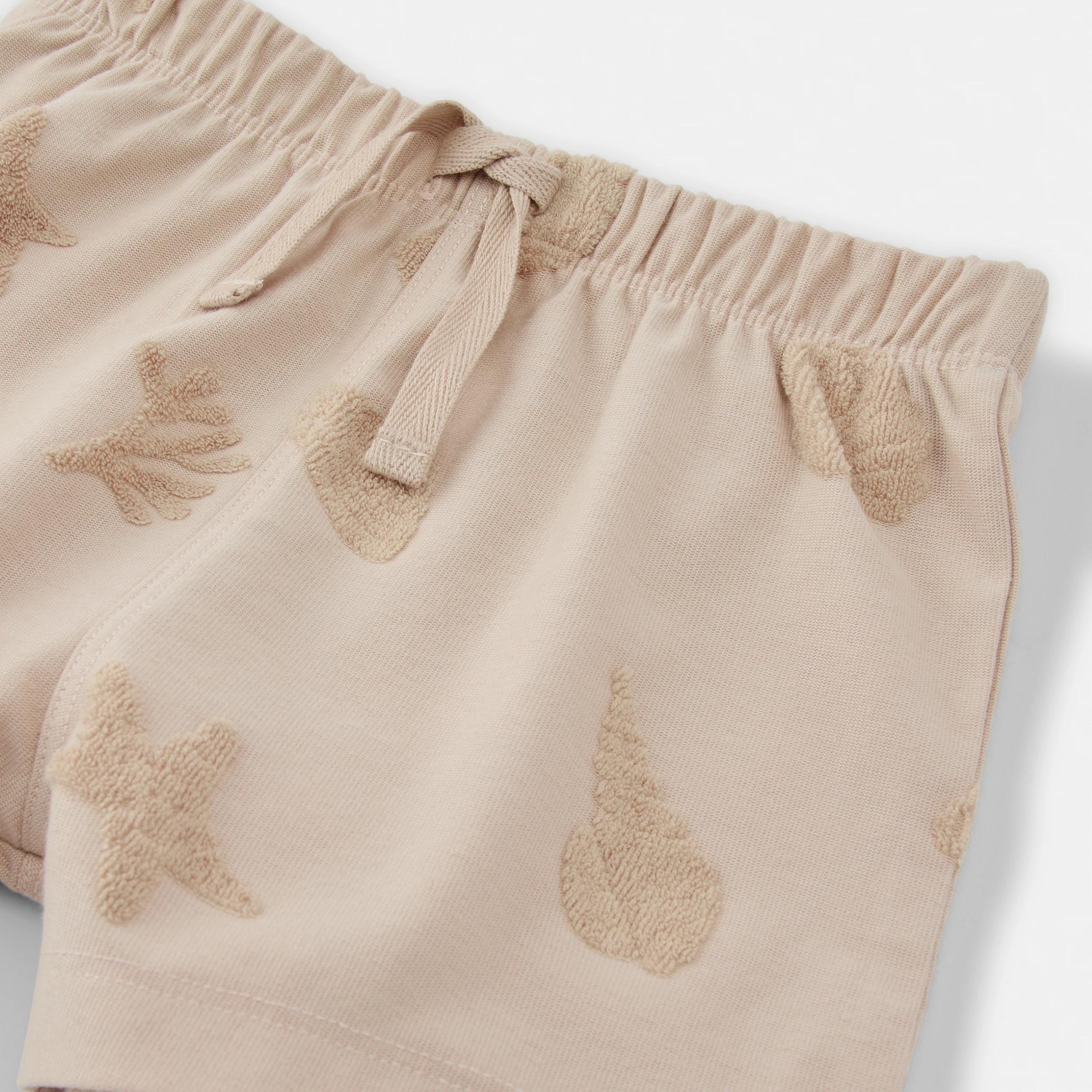 6 Short Sleeve Textured Set BEIGE SHELLS, 6 of 6