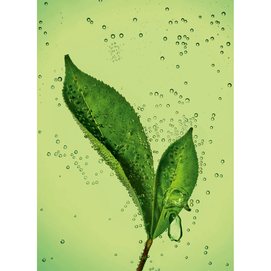 3 150ml Garnier Fructis Sleek and Shine Anti-Frizz Serum, 3 of 4