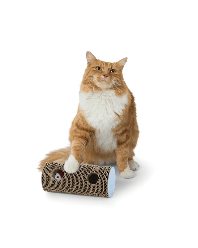 Cat Scratcher Roll with 