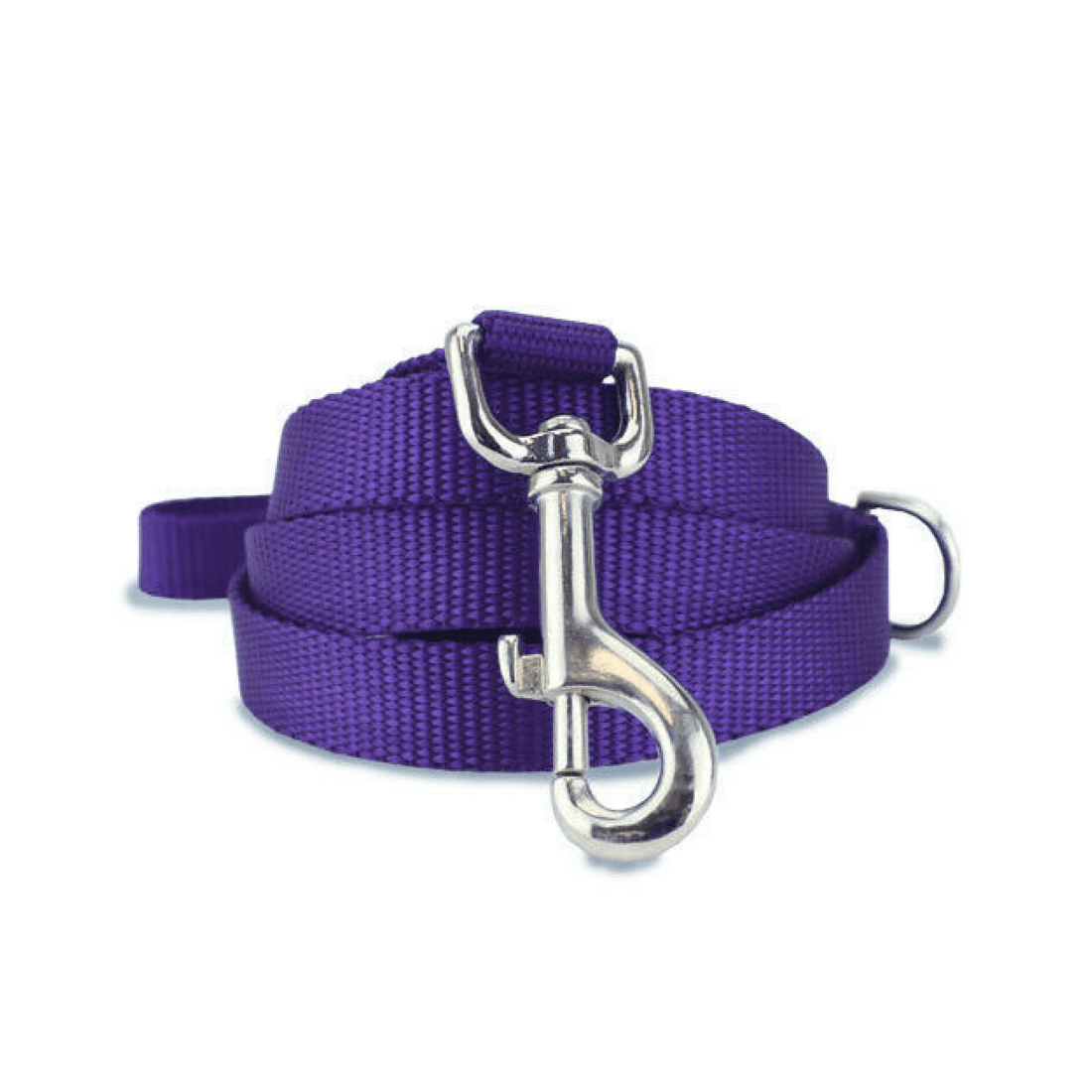 1 BR Pets Nylon Dog Leash for Training and Obedience, 1 of 8