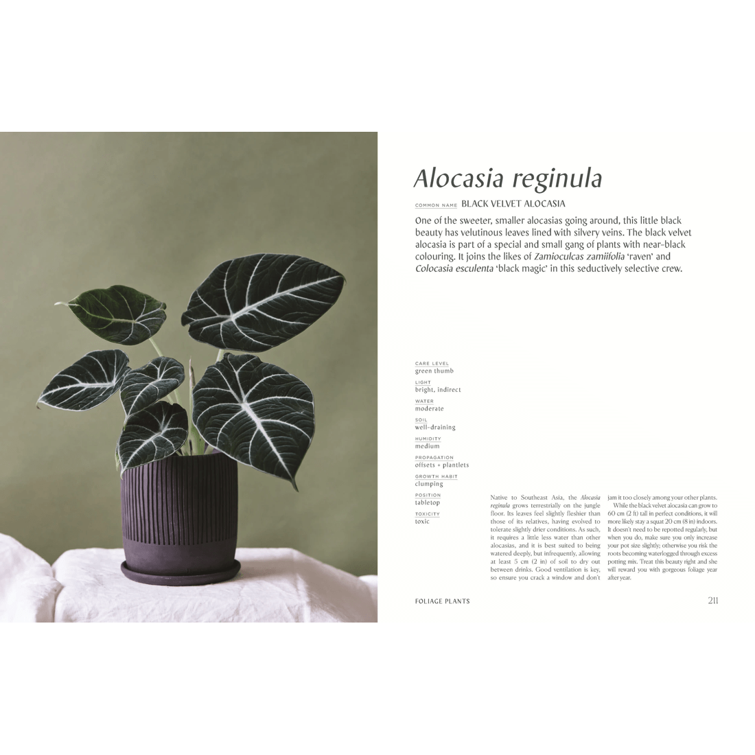 6 Plantopedia: The Definitive Guide to Houseplants by Lauren Camilleri and Sophia Kaplan - Book, 6 of 10