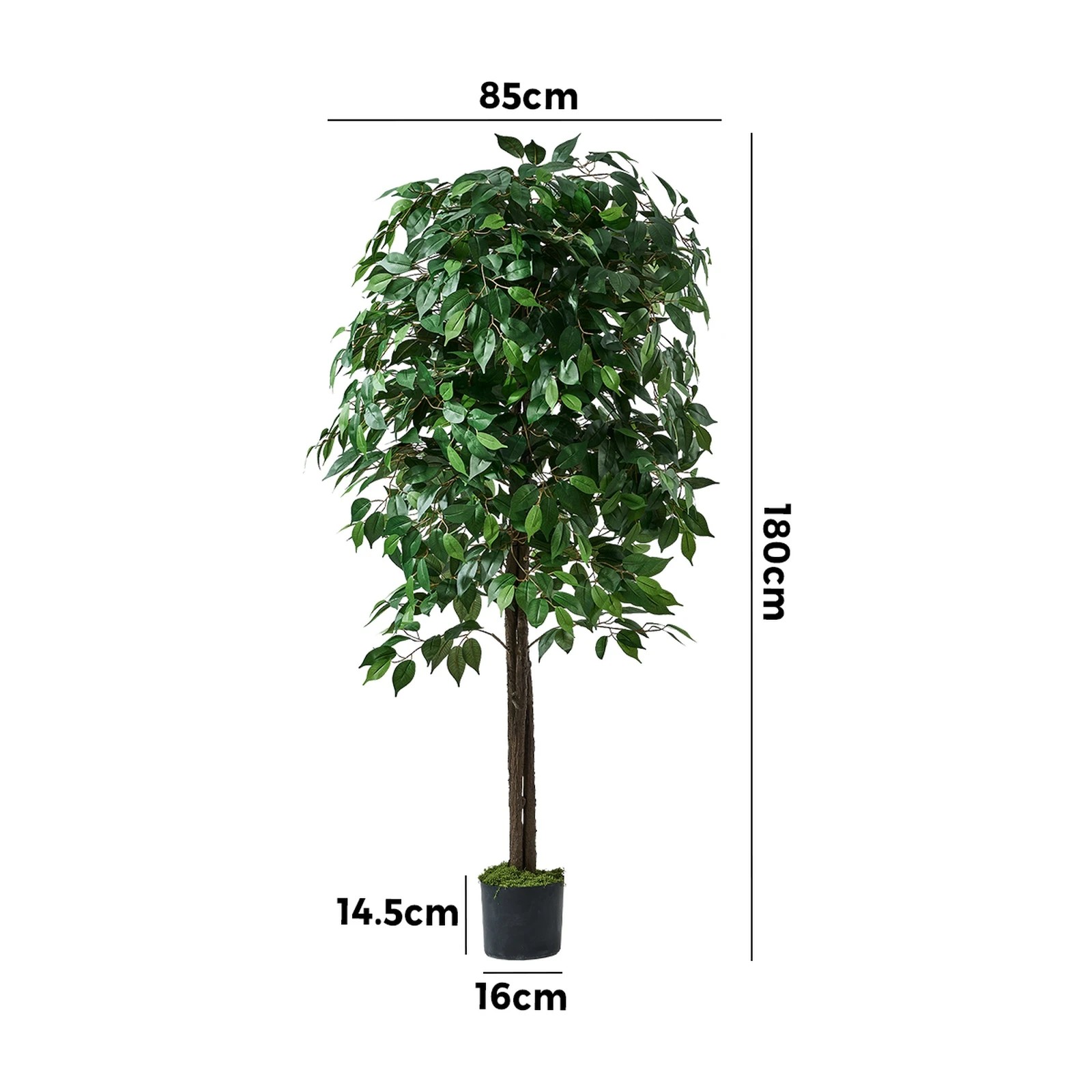 2 Livsip 180cm Artificial Ficus Tree - Green, 2 of 10