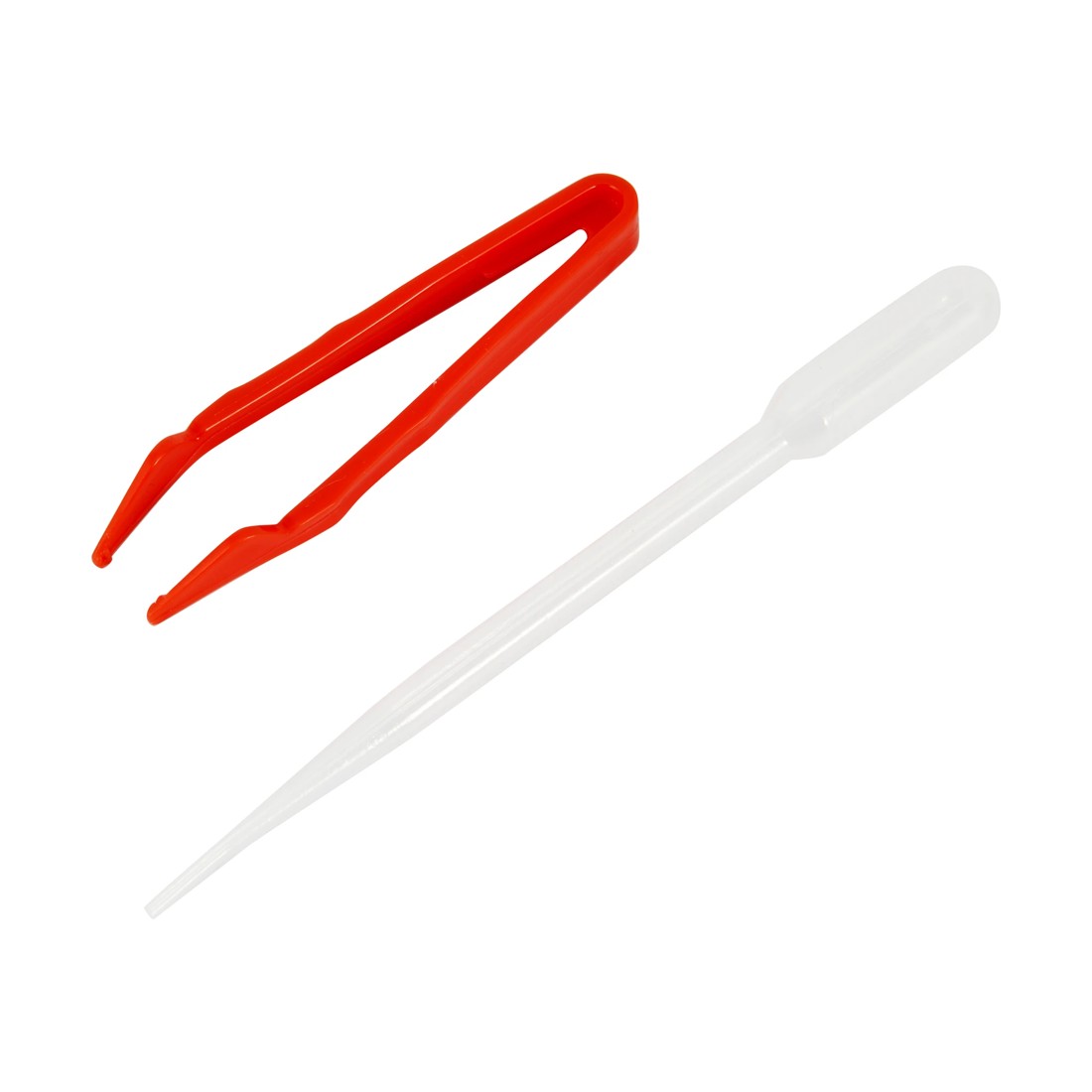 6 Ant Farm Discovery, 6 of 9