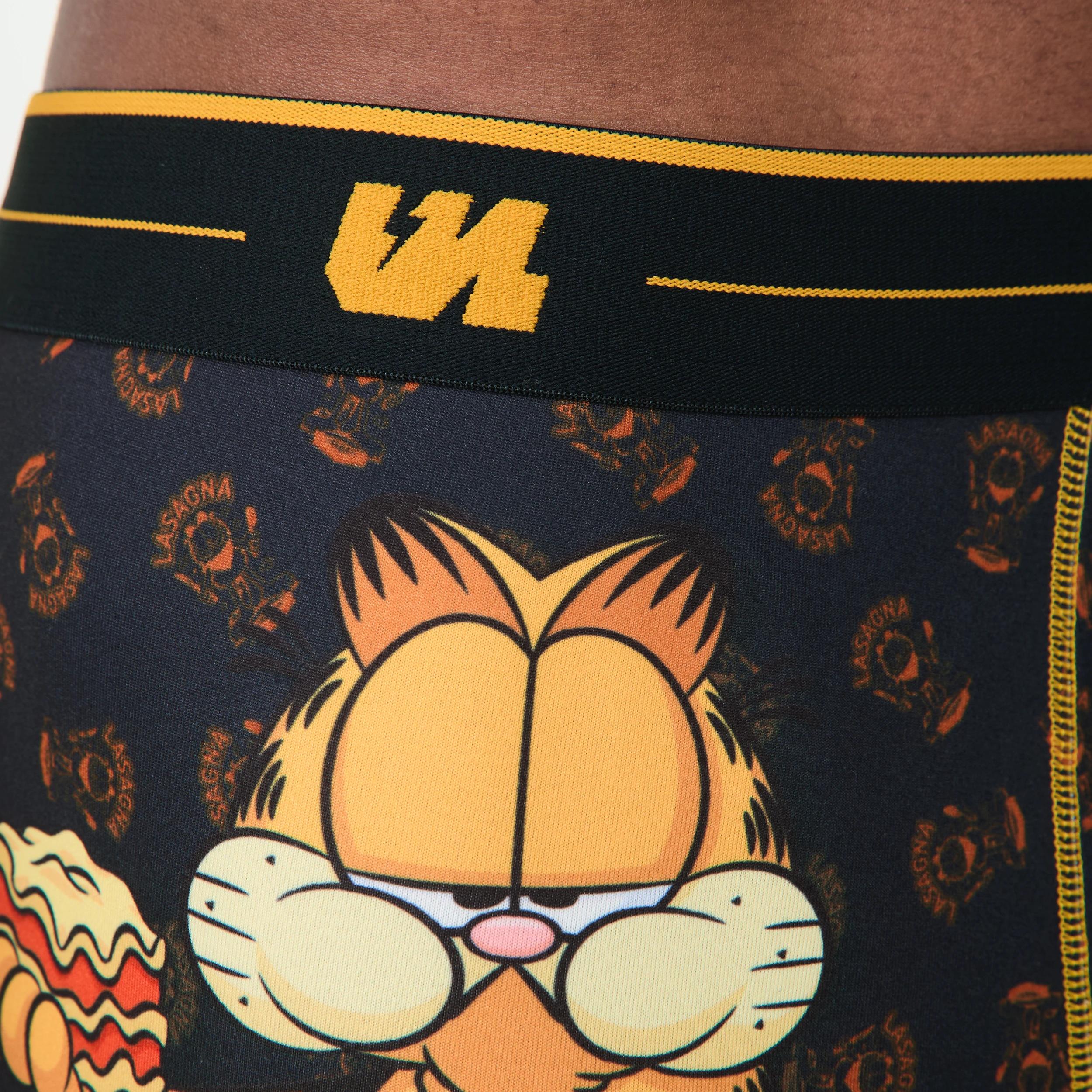 5 License Trunks GARFIELD, 5 of 6