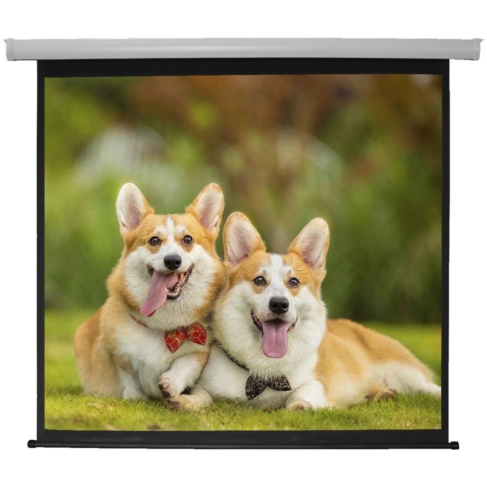 2 Brateck 96" 1:1 Auto-Lock Manual Projector Screen, 2 of 2