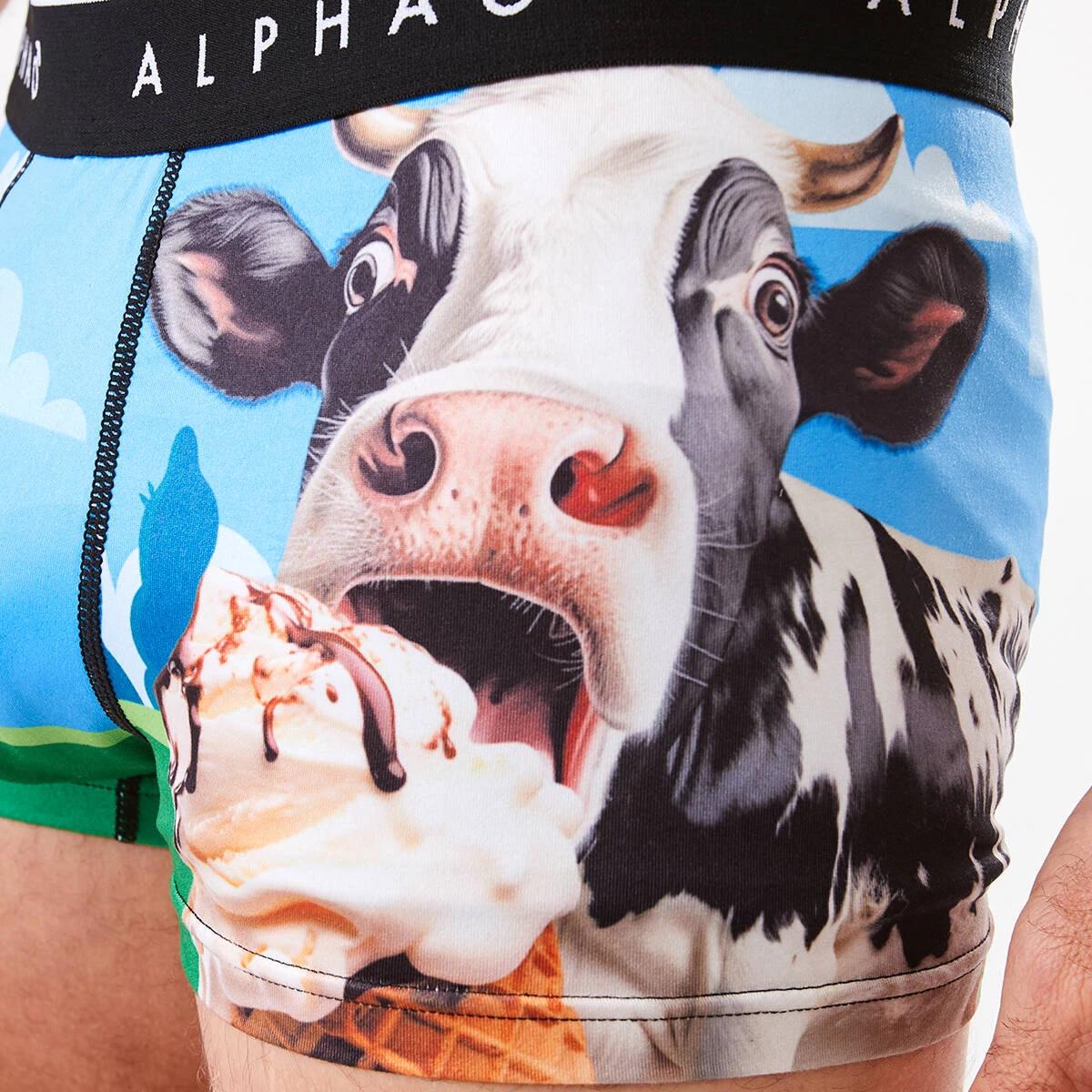 6 License Print Trunks Salt Caram, 6 of 6