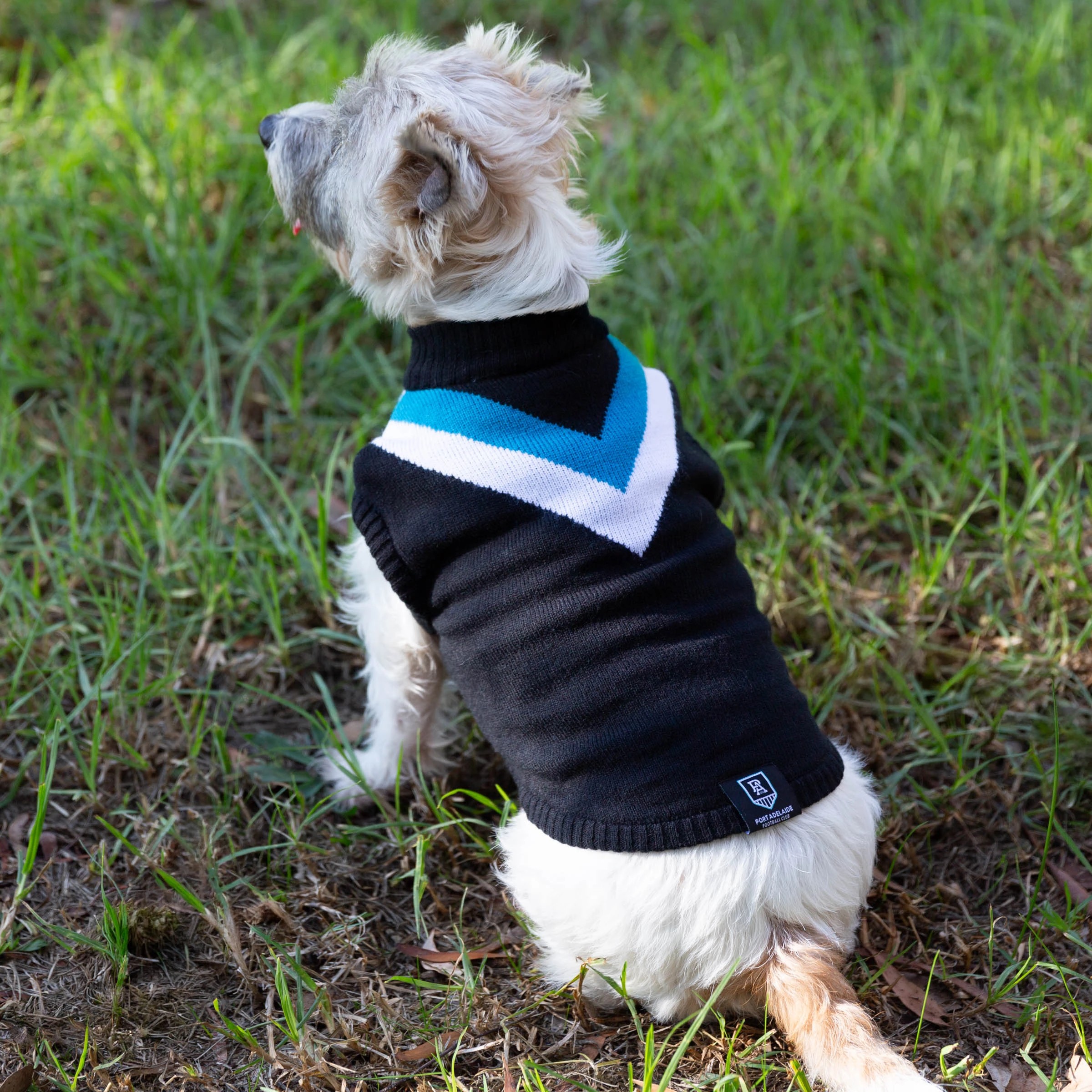 4 AFL Port Adelaide Pet Jumper - Large, 4 of 4