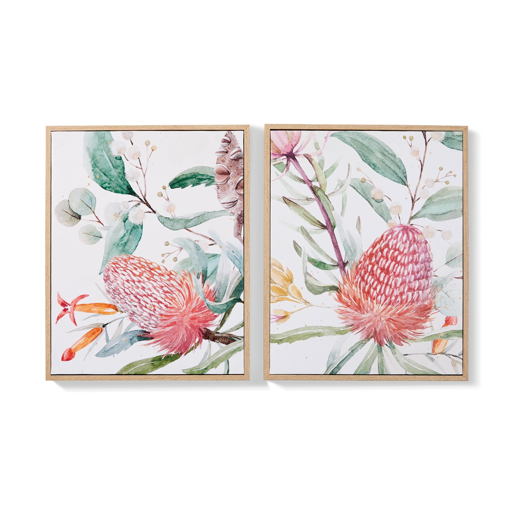 1 2 Pack Natives Framed Canvas, 1 of 7