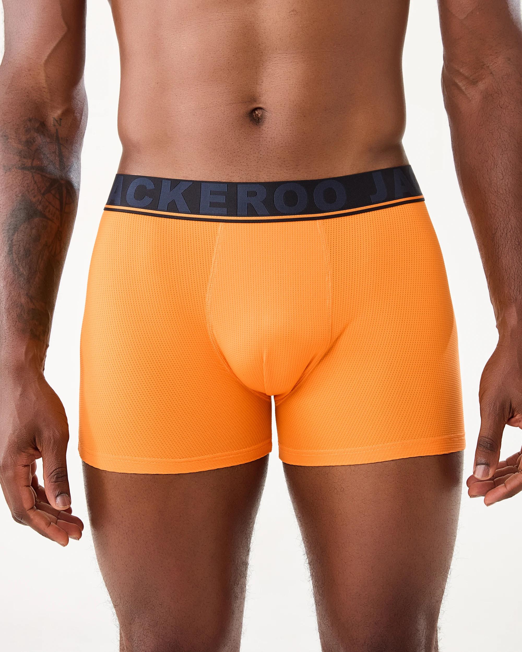 3 3 Pack Jackeroo Print Mesh Trunks Multi Dog, 3 of 7