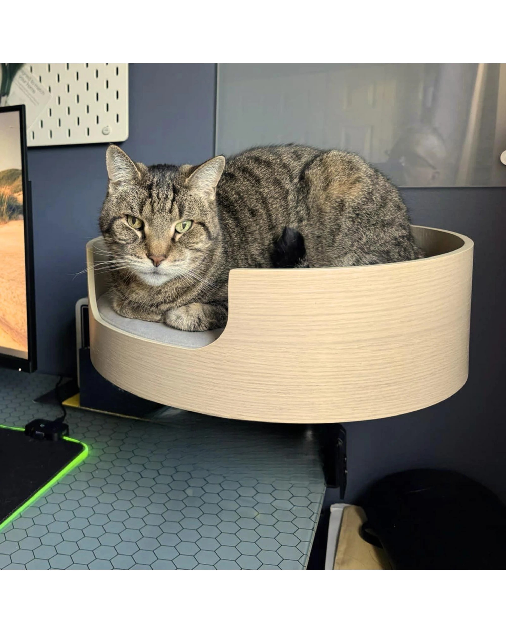 3 Desk Nest Cat Bed Space-Saving Elevated Bed for Cats White Oak - White, 3 of 4