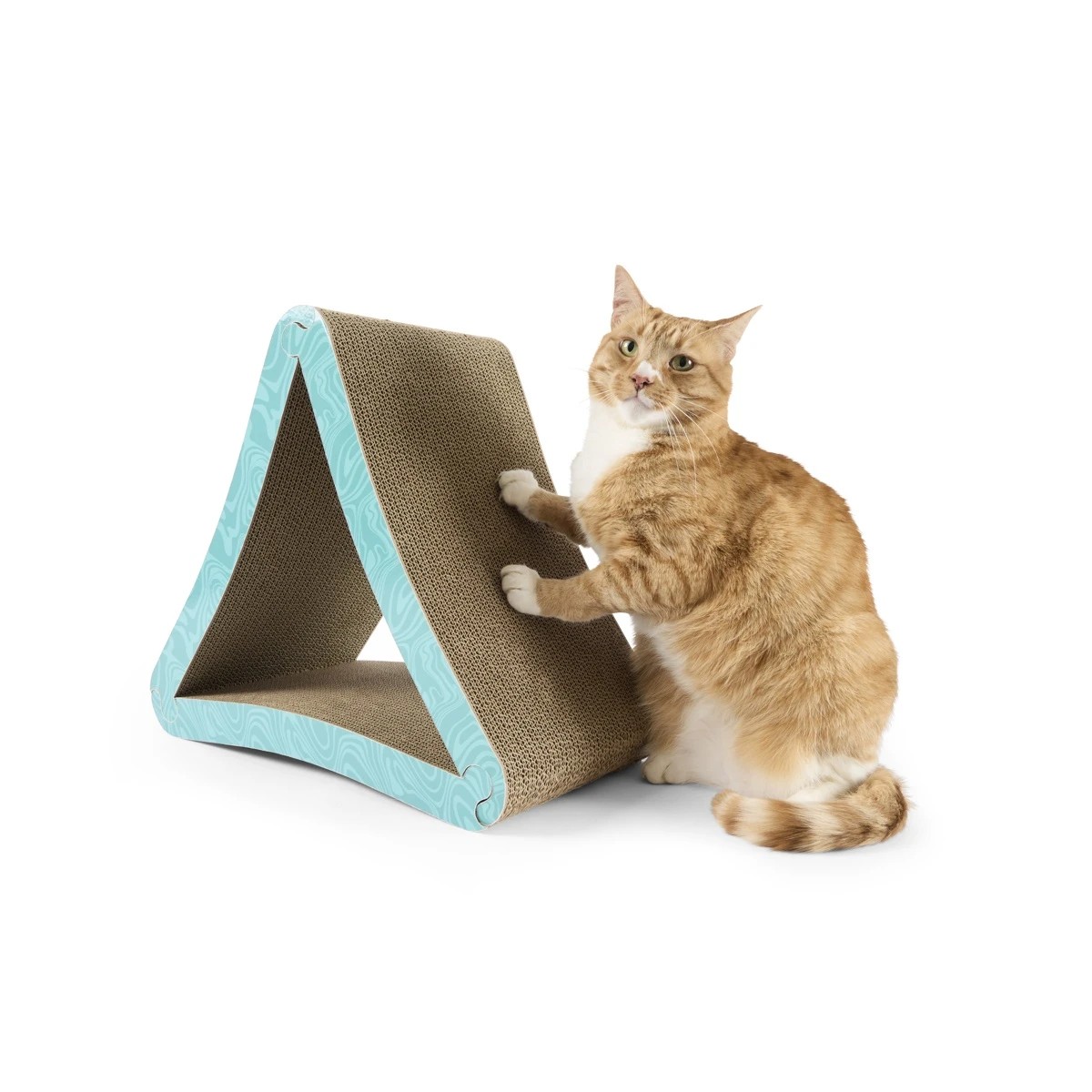 2 Cat Scratcher Triangle, 2 of 10