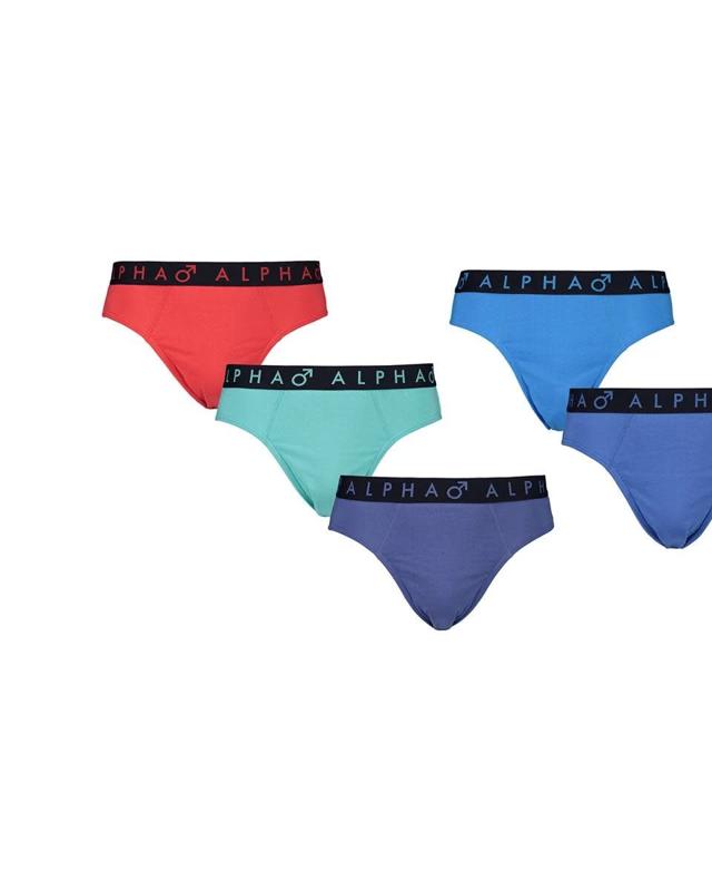 5 Pack Attached Elastic Hipster Br