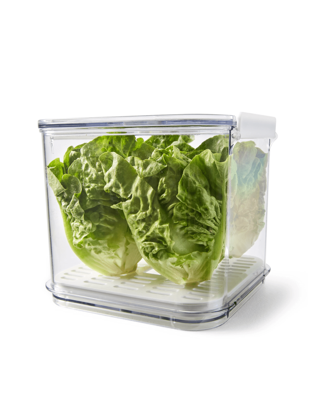 1 2.5L Fridge Storage - Clear and White, 1 of 7