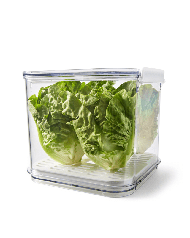 2.5L Fridge Storage - Clear and W