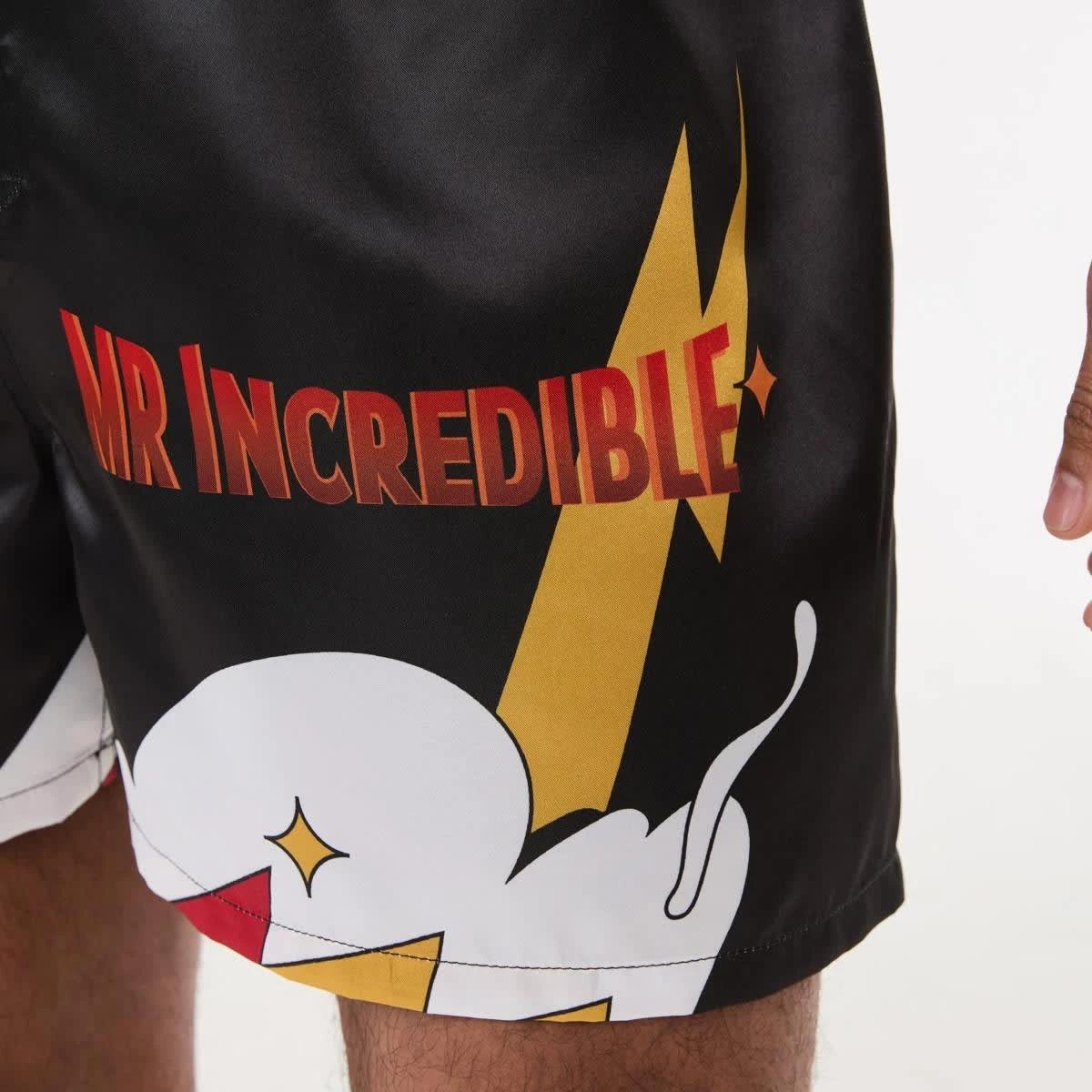 4 Mr Incredible License Boxers MR INCREDIBLE, 4 of 7