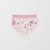 PAINTERLY FLORAL PINK