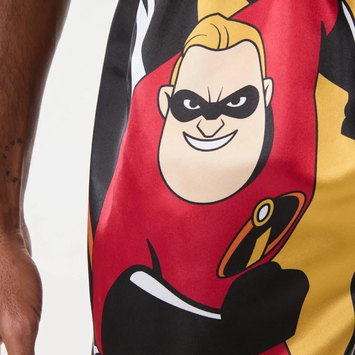5 Mr Incredible License Boxers MR INCREDIBLE, 5 of 7