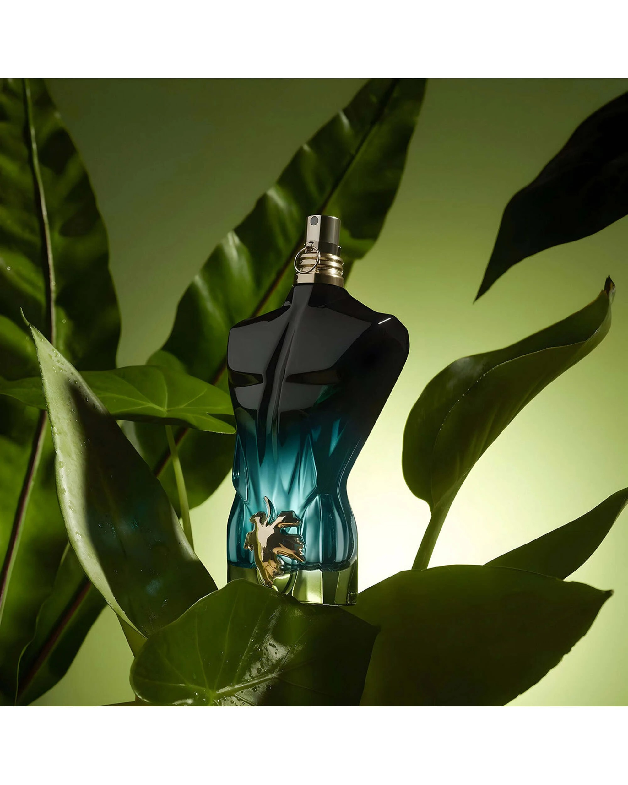 5 Jean Paul Gaultier Le Beau Le Parfum 125ml Eau De Parfum, 5 of 5
