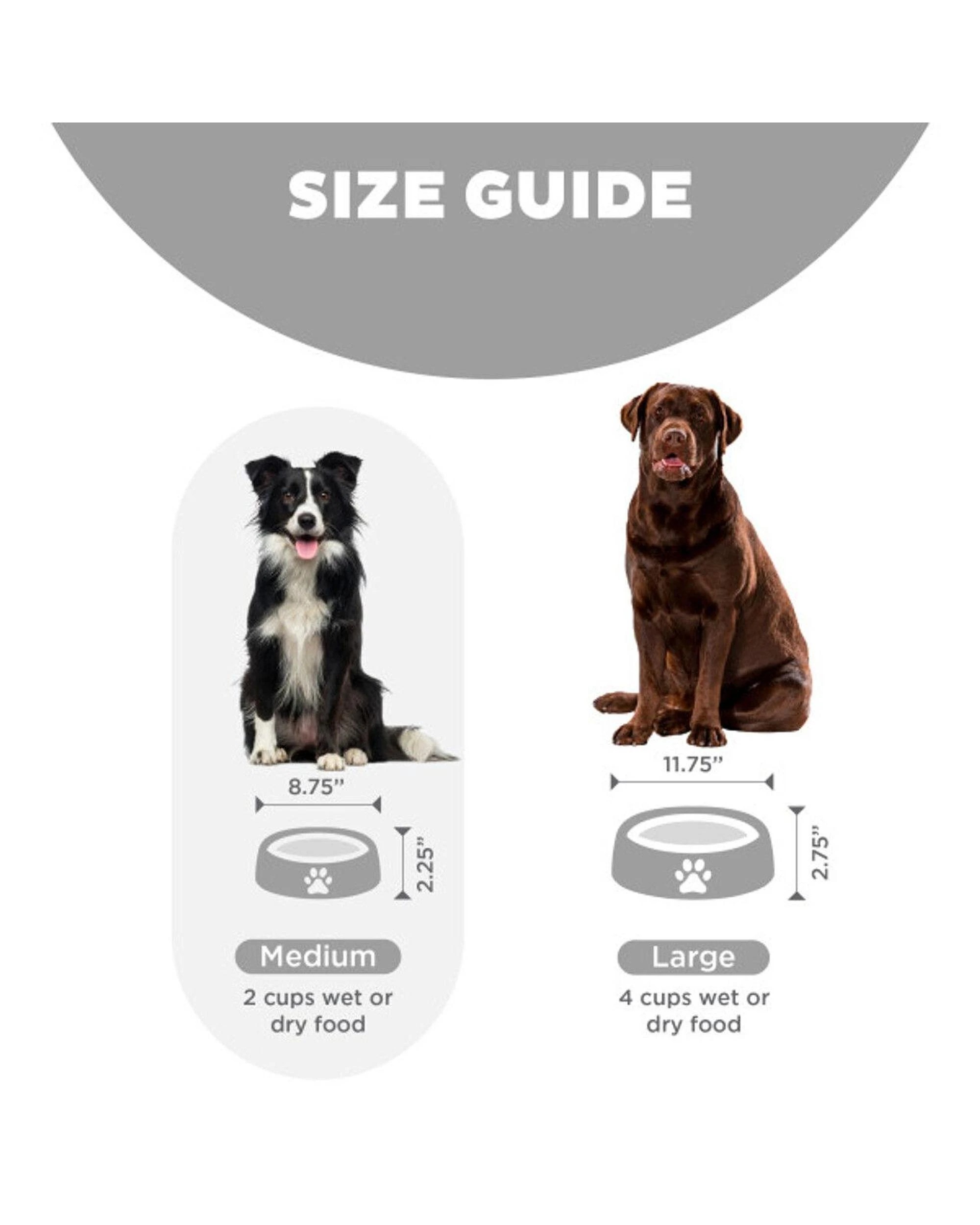 5 Outward Hound Fun Feeder Interactive Slow Bowl Drop for Dogs Grey Medium, 5 of 6