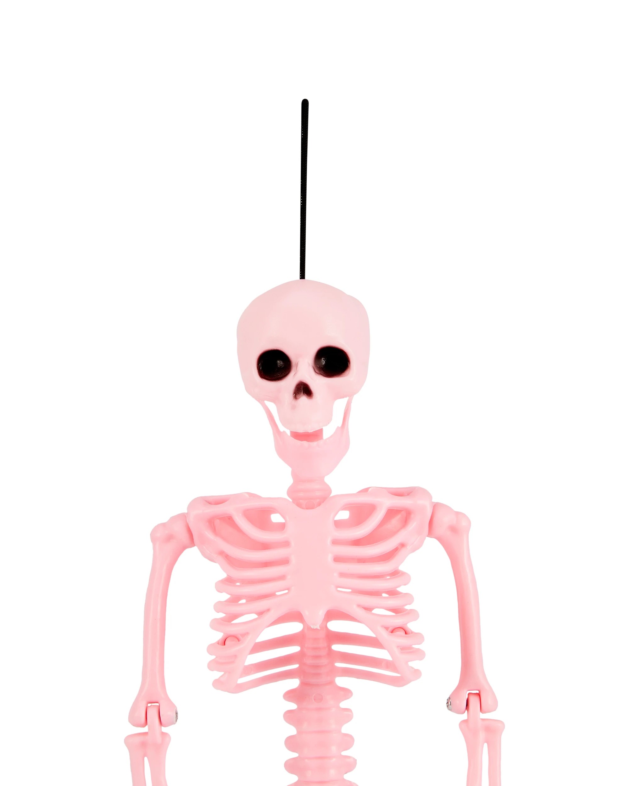 4 Poseable Skeleton - Assorted, 4 of 5