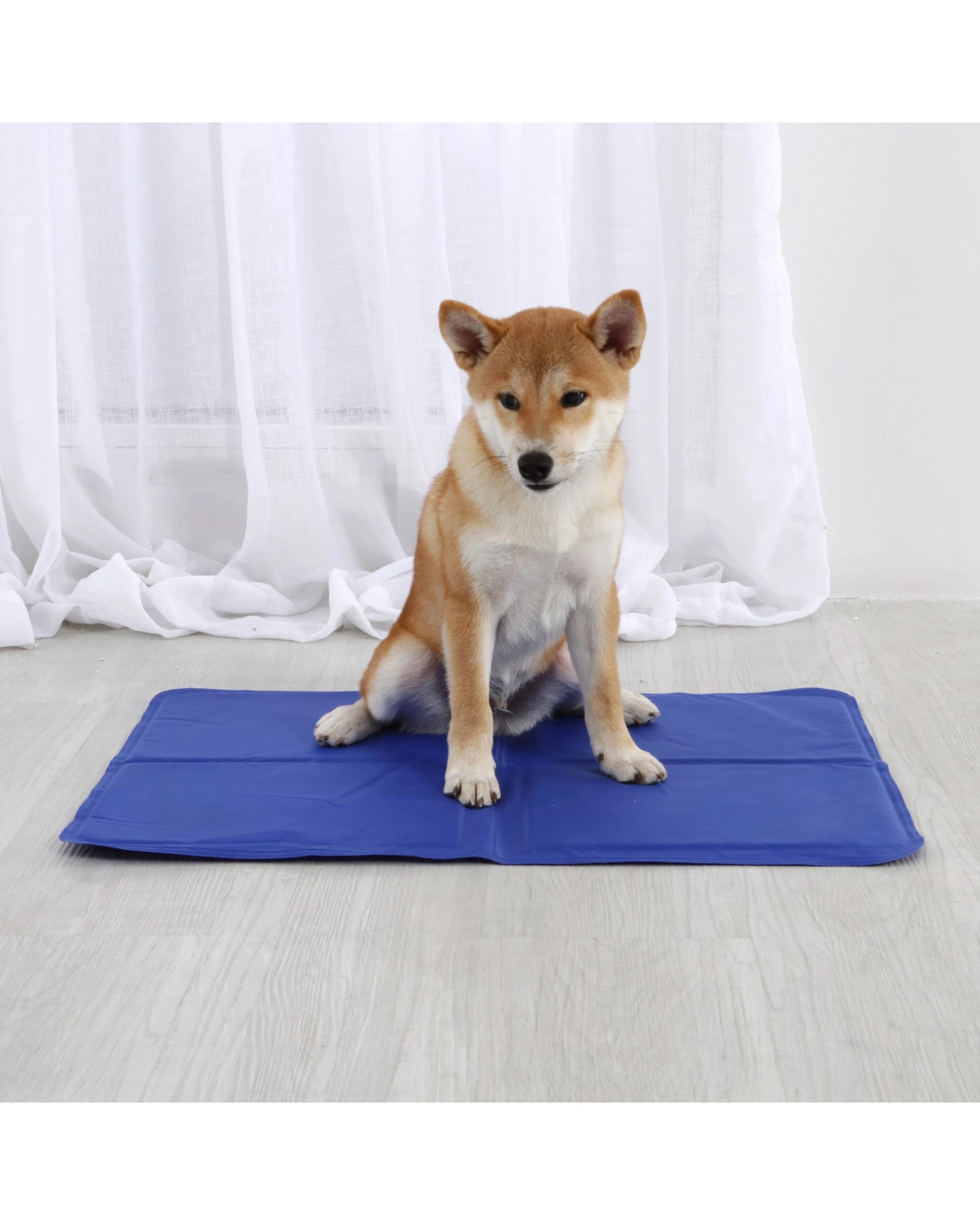 2 Paw Paws Pet Cooling Mat Medium - Blue, 2 of 7