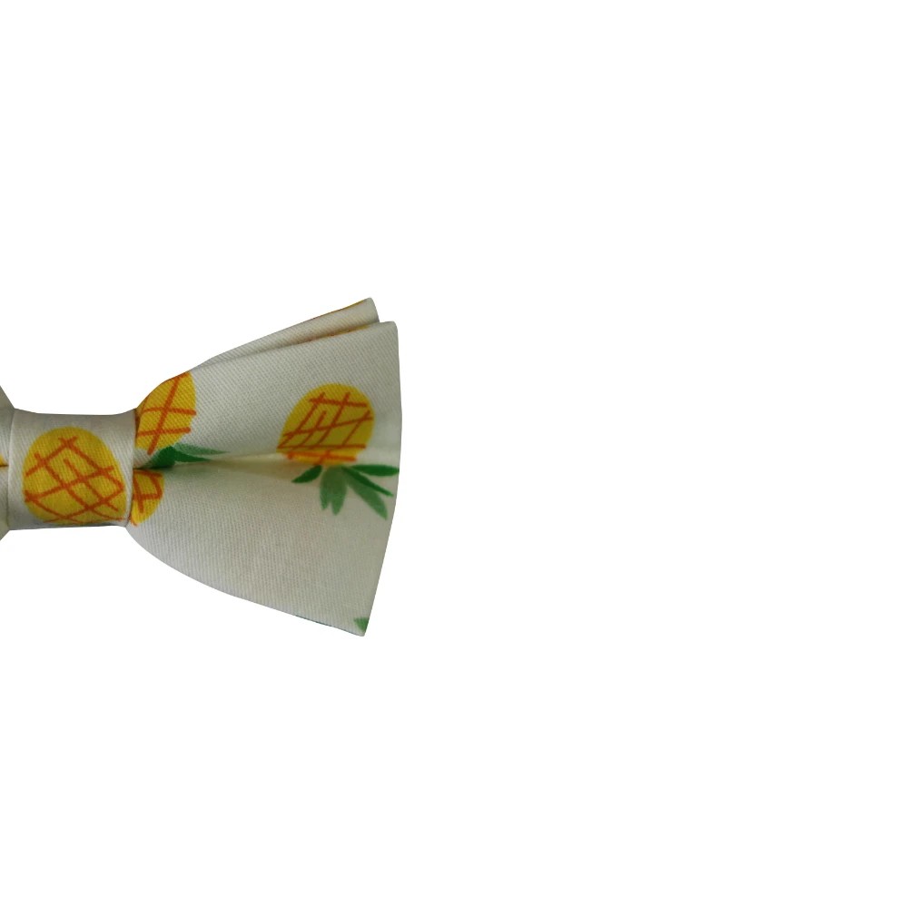 3 Zasel Boys Pineapple Fruit Patterned Bow Tie - Multi, 3 of 3