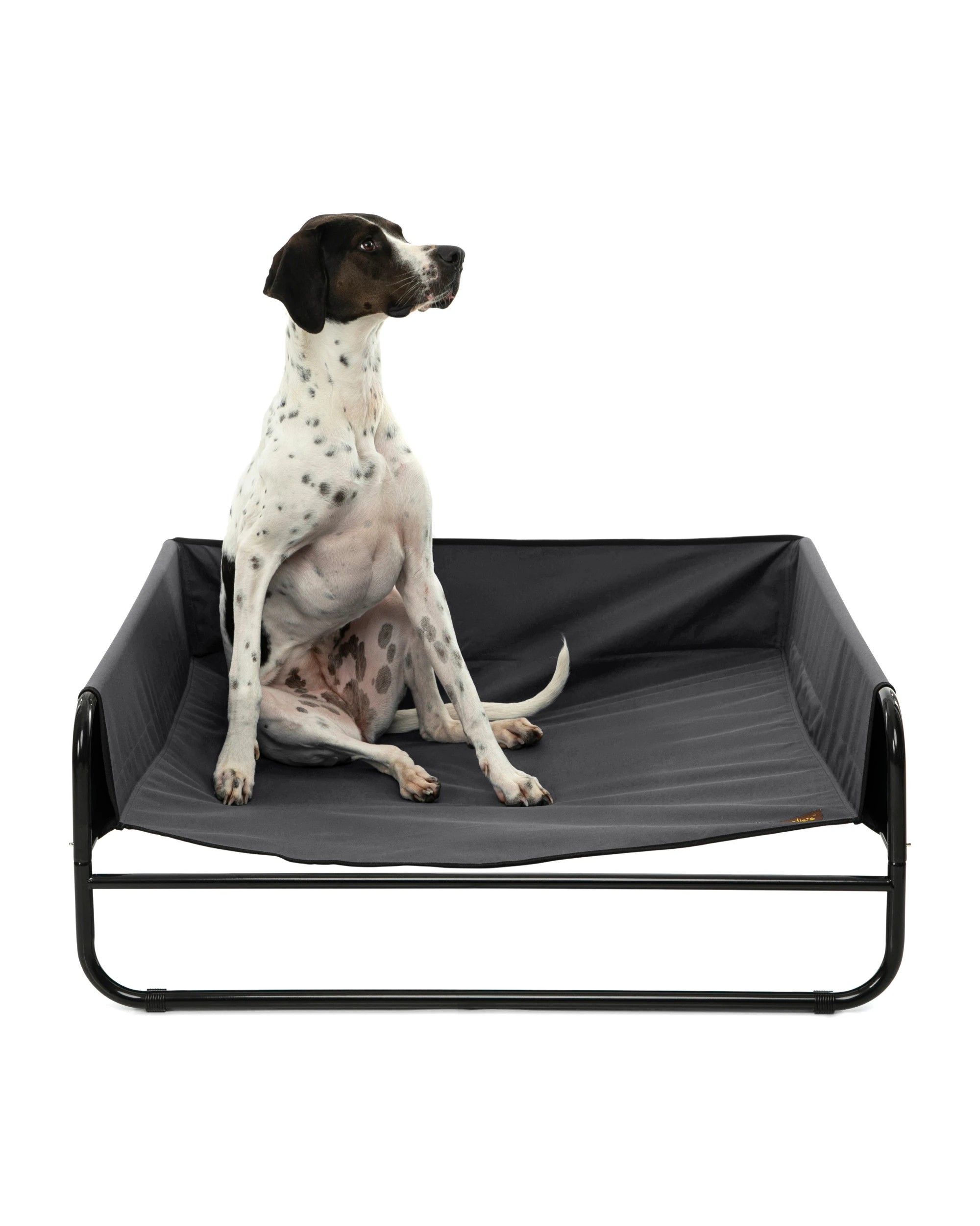 2 Charlie's High Walled Outdoor Trampoline Dog Bed Small - Black, 2 of 6